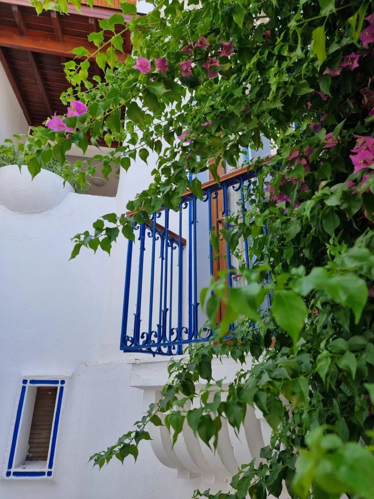 Garden view in Eden Hotel