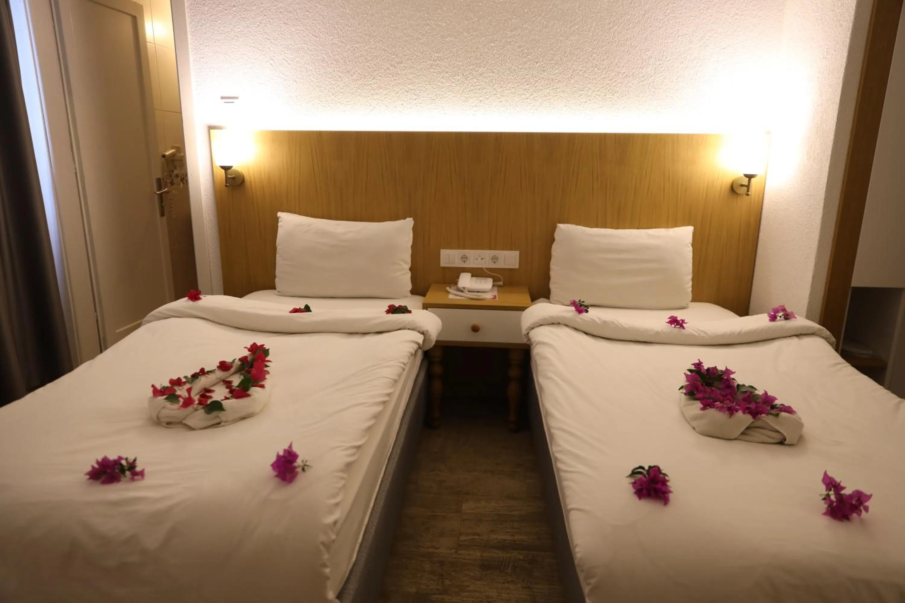 Photo of the whole room in Eden Hotel