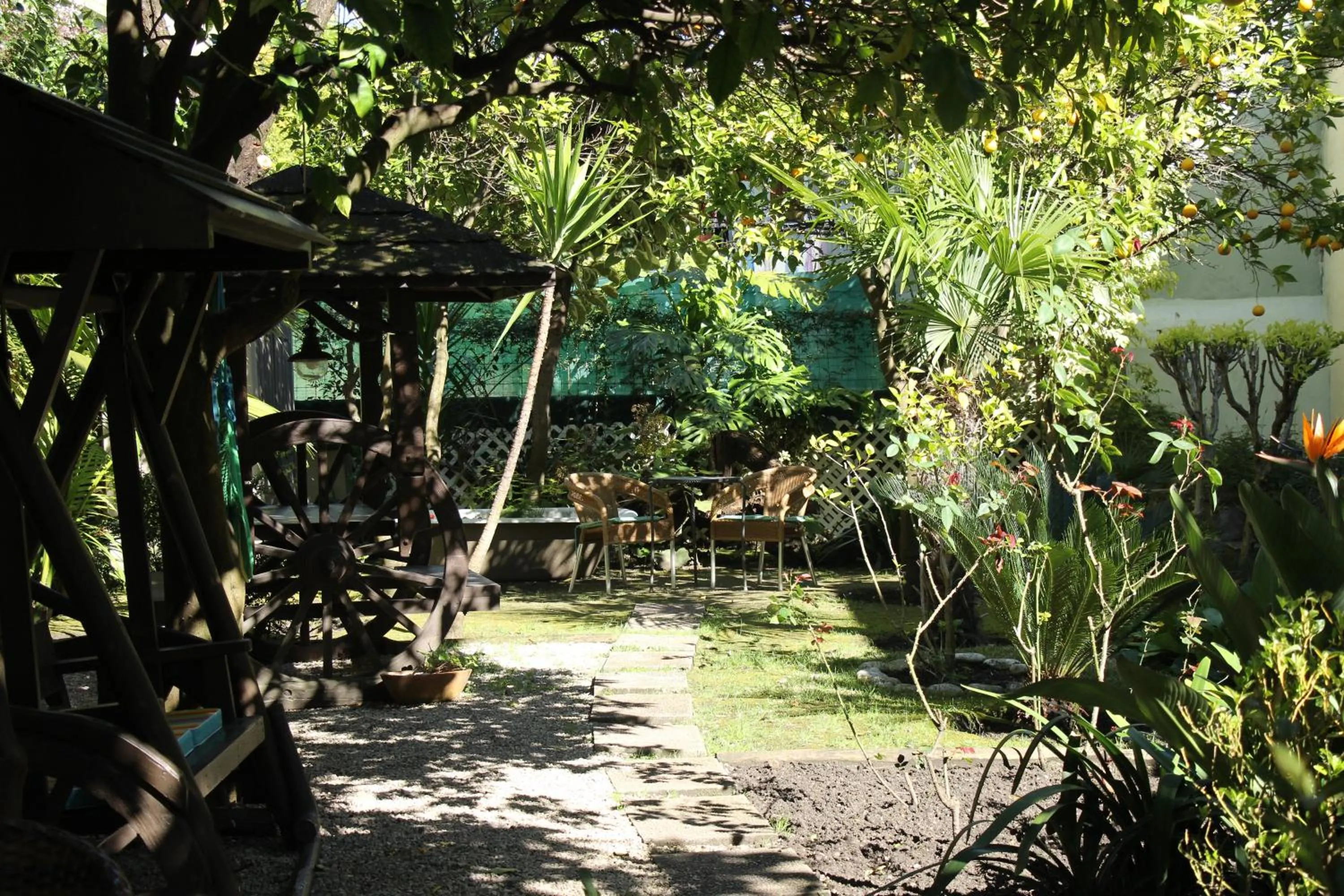 Garden in Pouso Dos Anjos