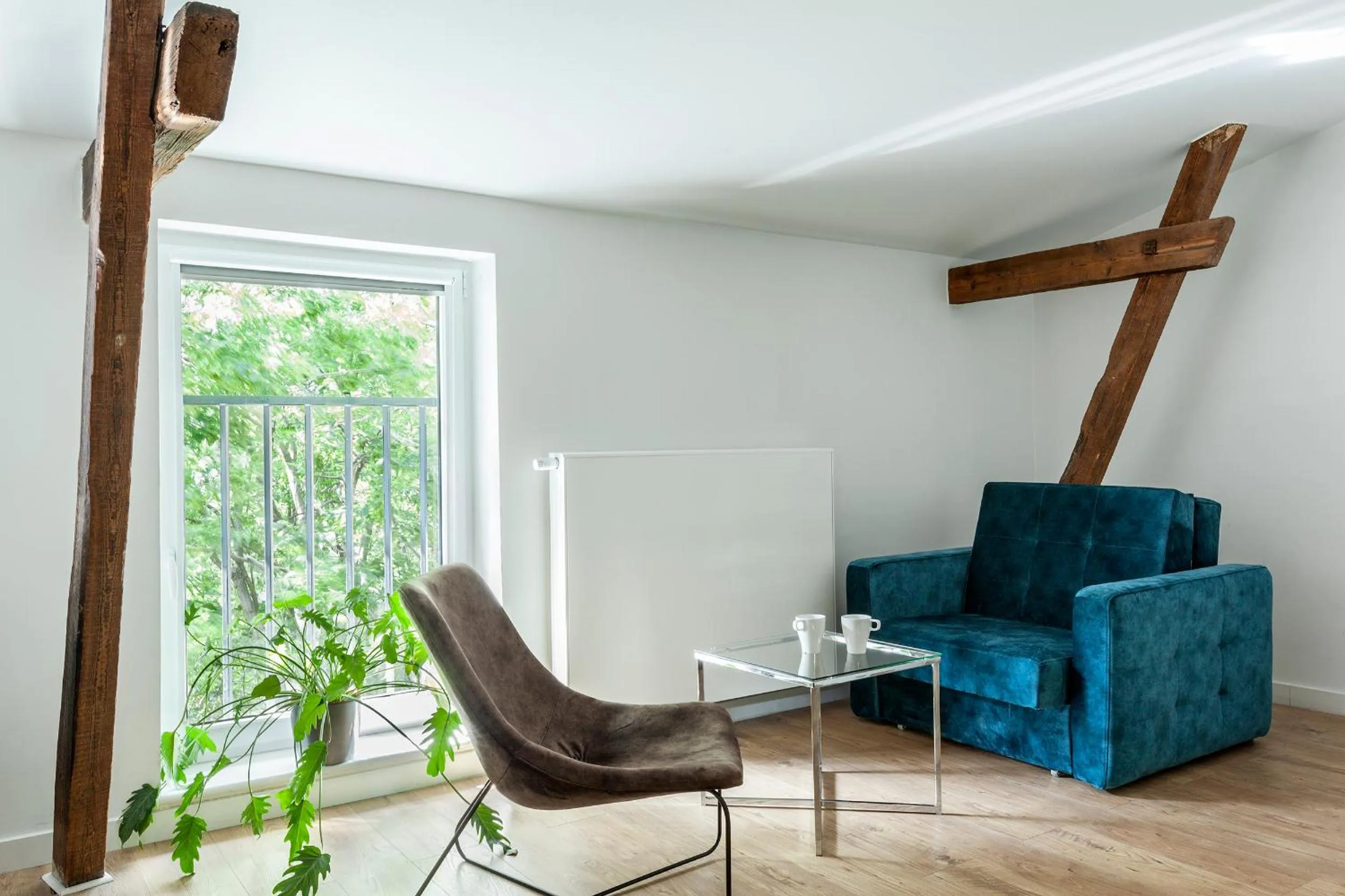 Photo of the whole room in Cinema Apartments