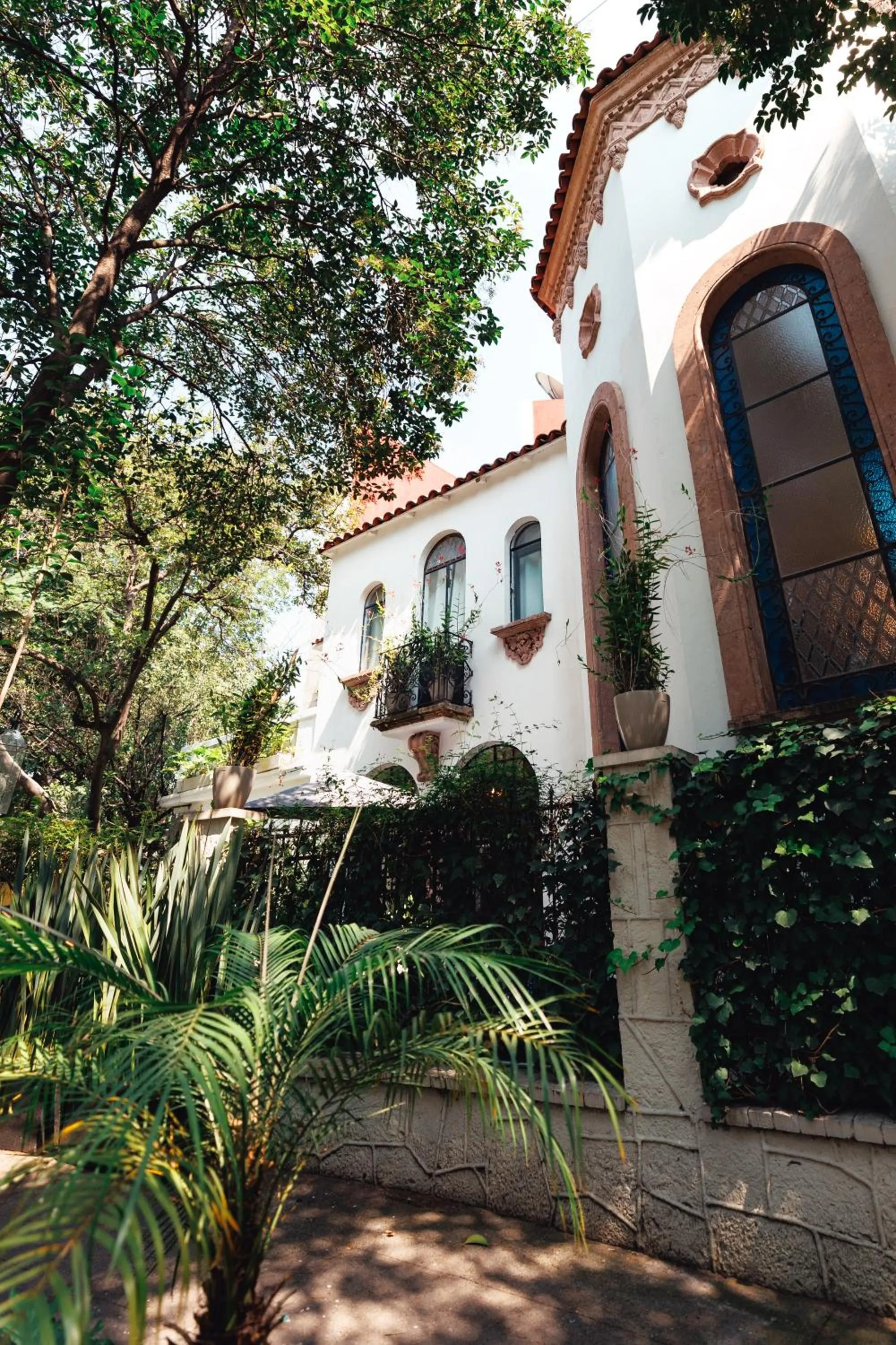 Property building in Orchid House Mexico City