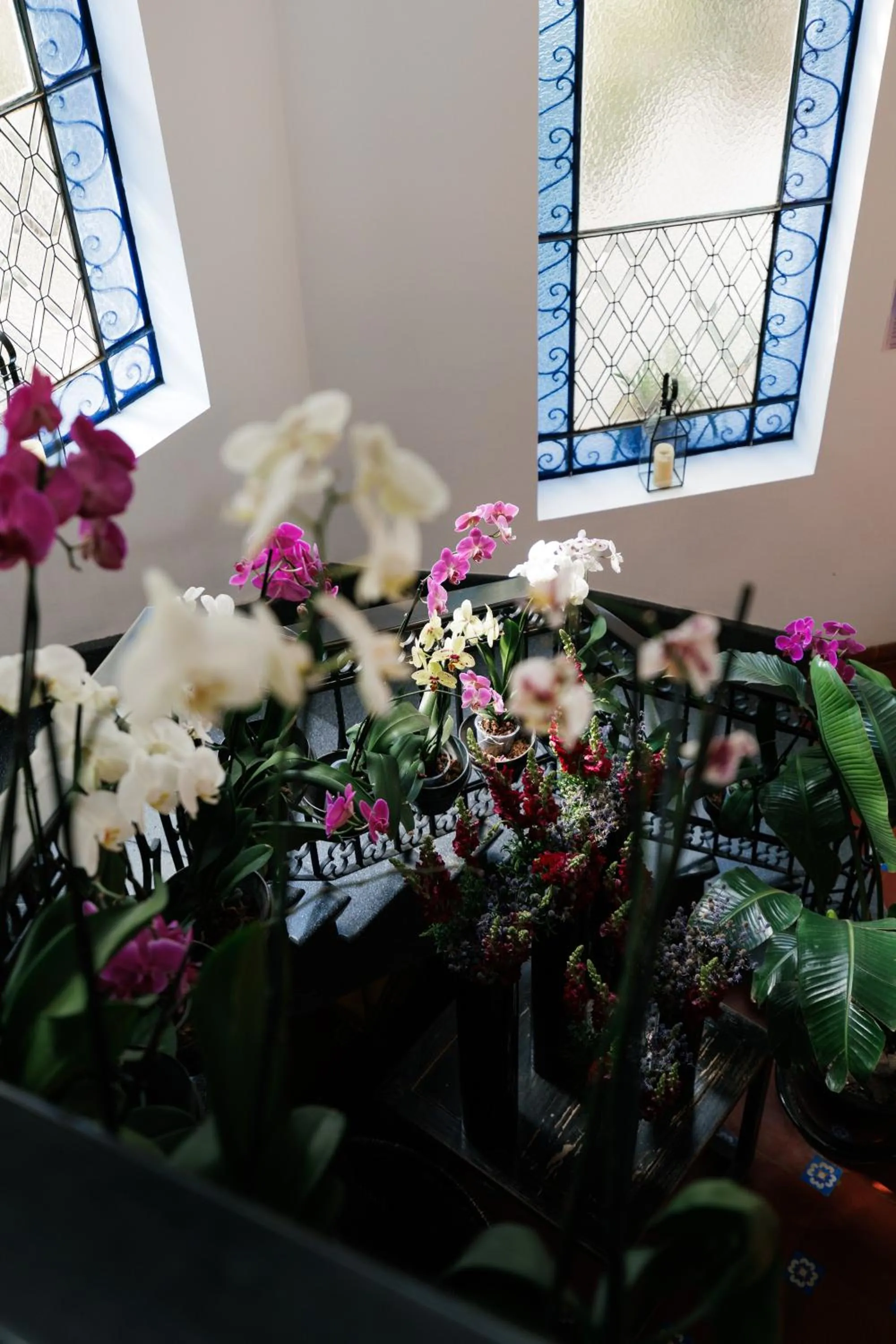 Decorative detail in Orchid House Mexico City