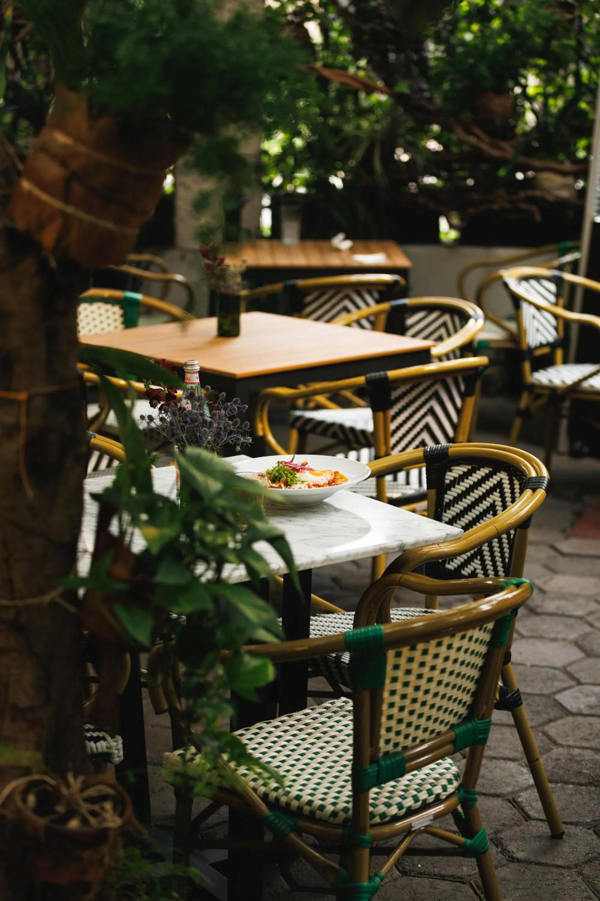 Restaurant/places to eat in Orchid House Mexico City