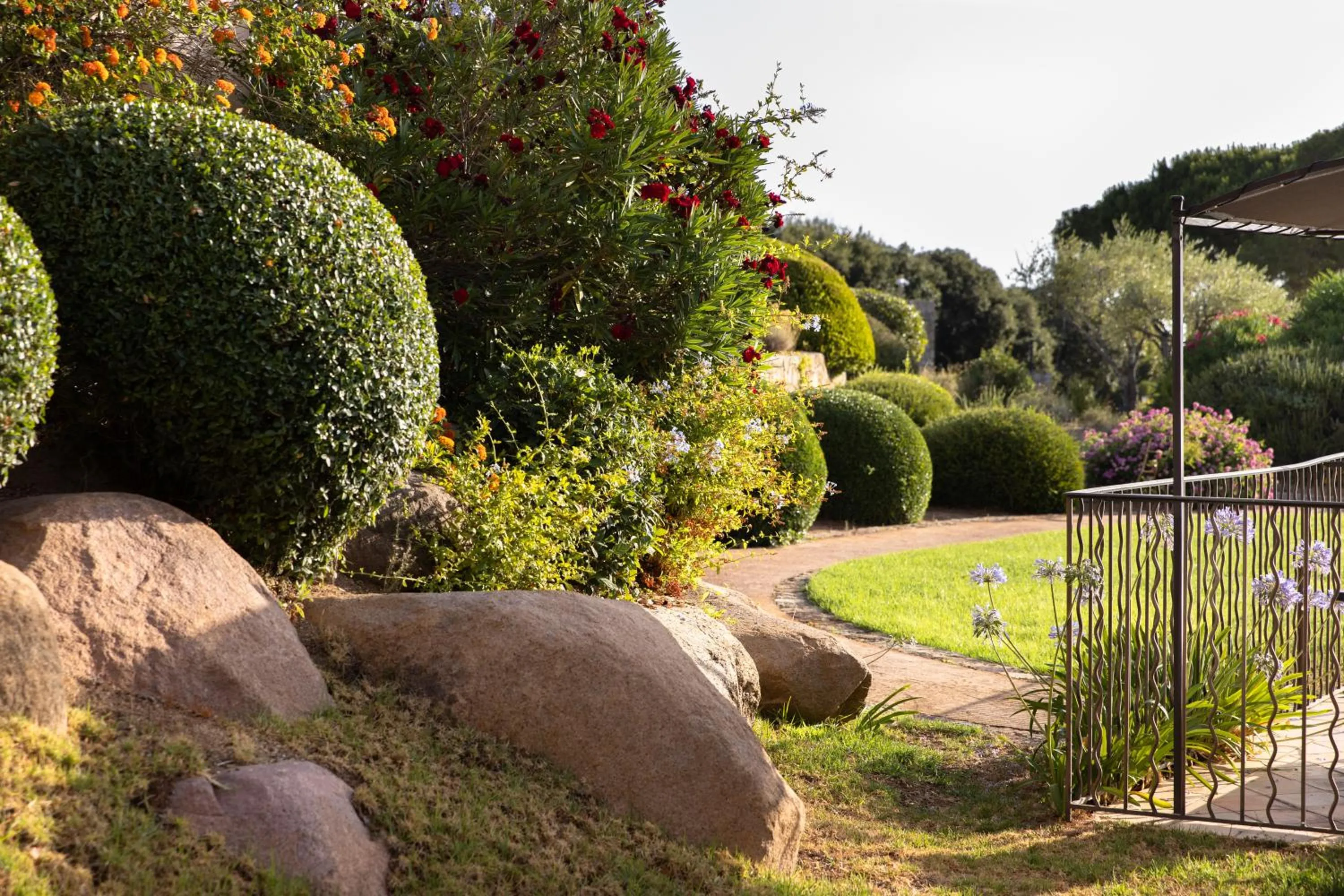 Natural landscape in La Villa Calvi