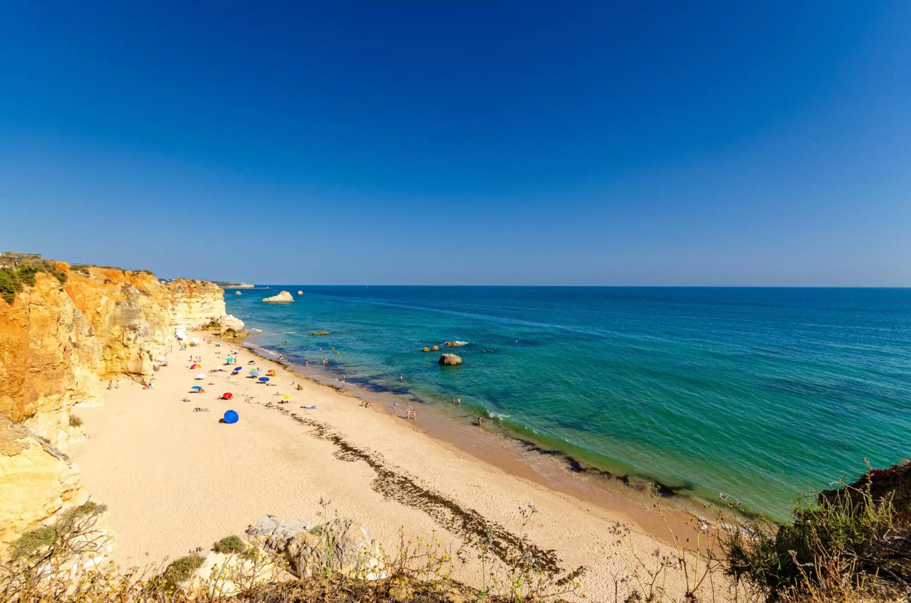 Nearby landmark in TURIM Presidente Hotel