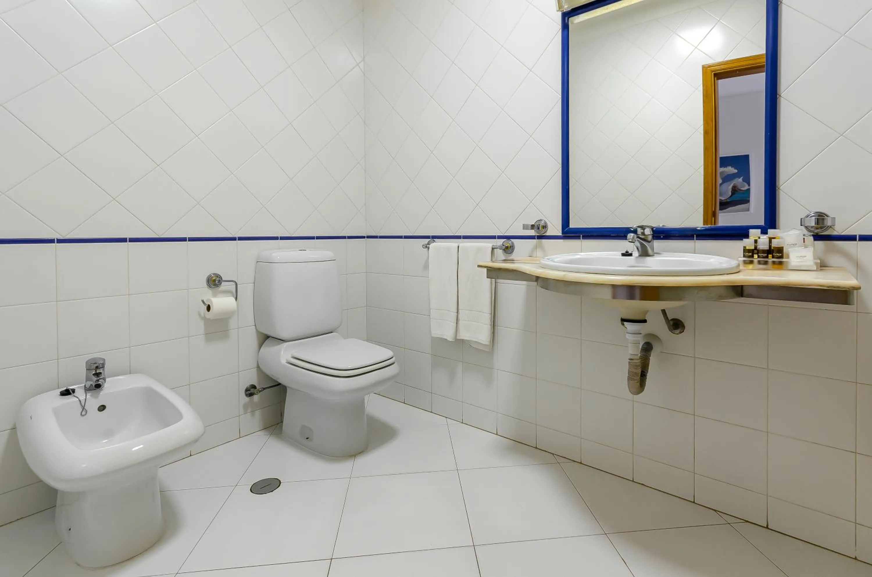 Toilet in TURIM Algarve Mor Apartamentos Turísticos