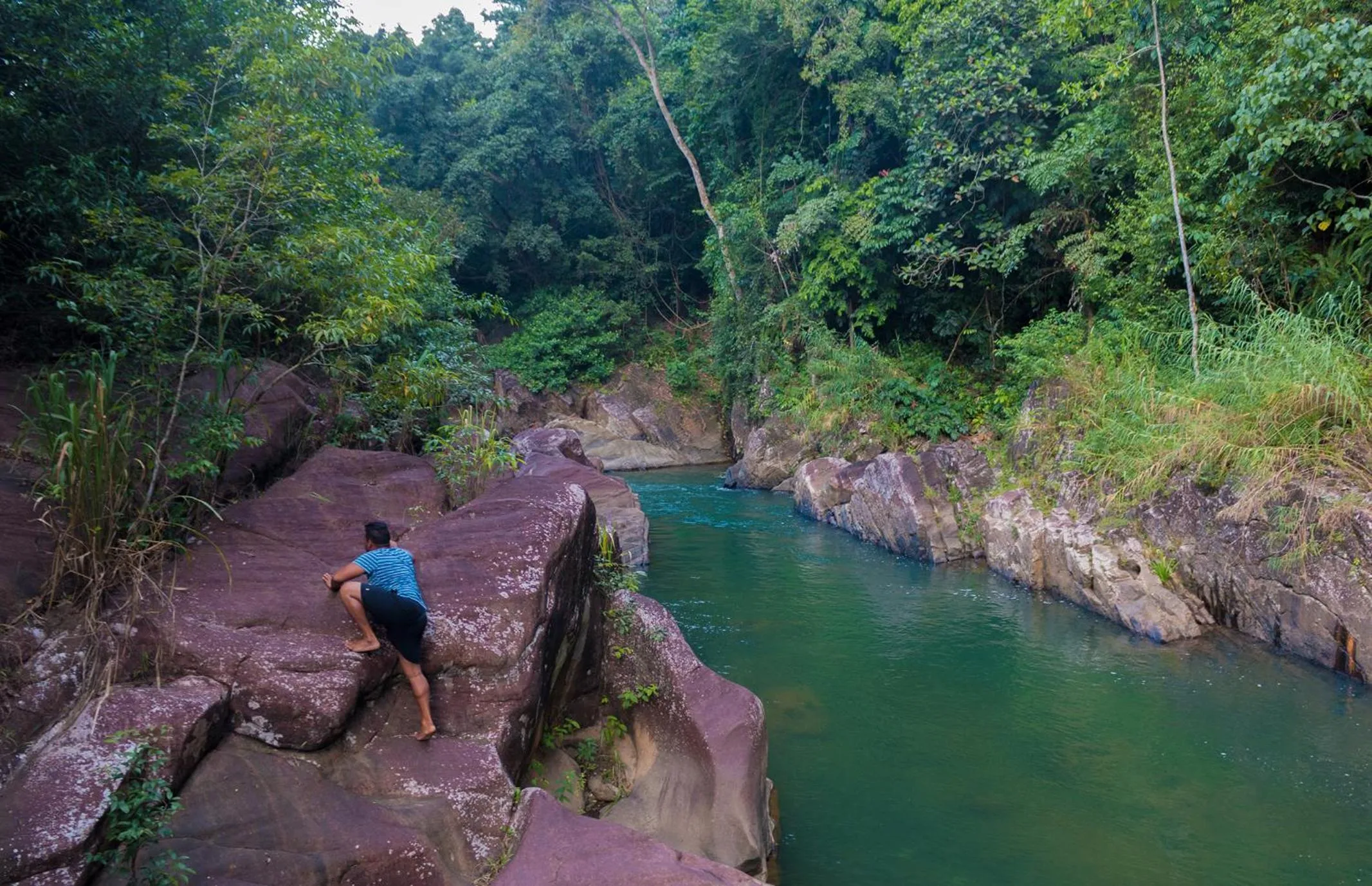 Swimming pool in Tree Houses by Jungle River