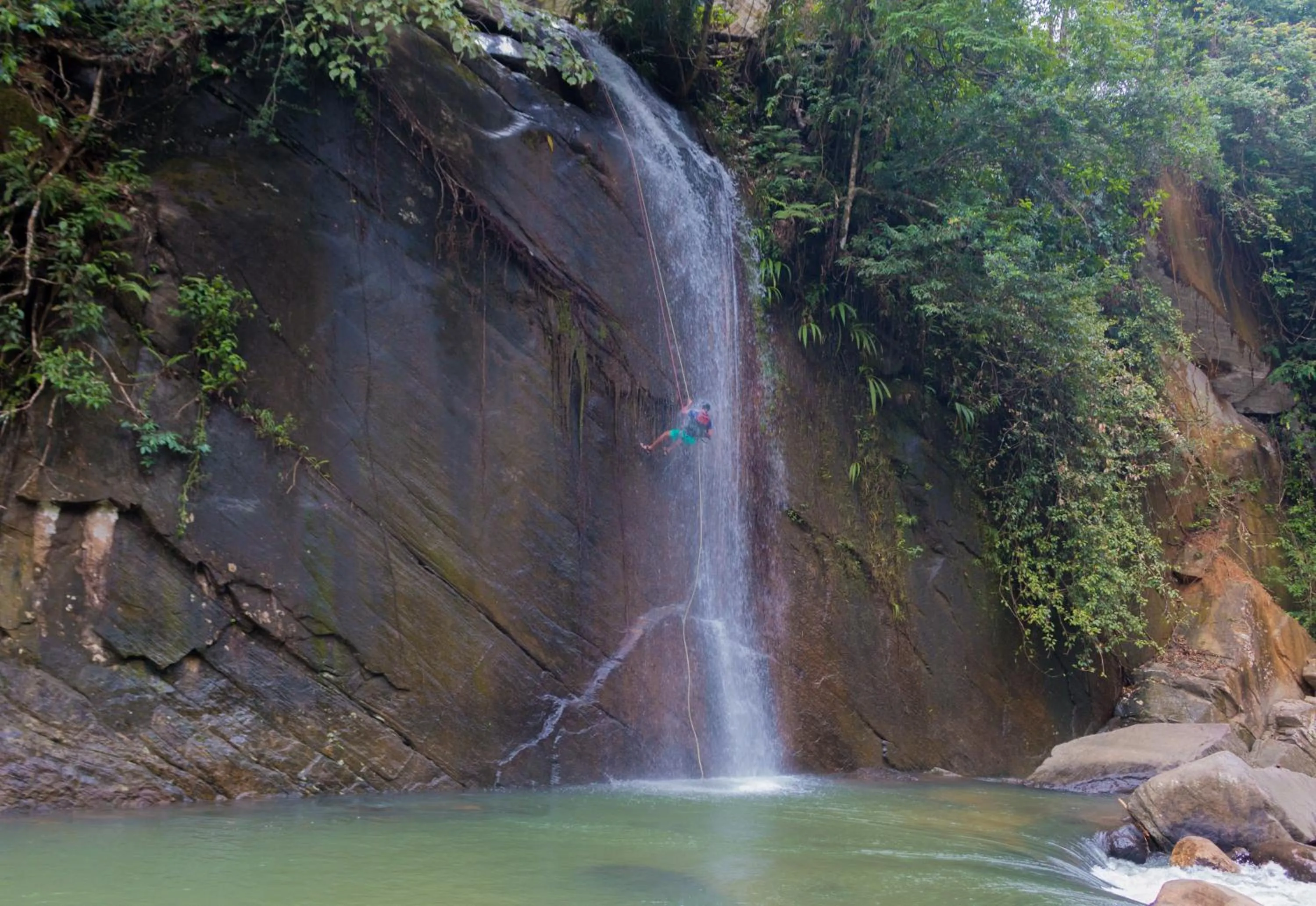 Activities in Tree Houses by Jungle River