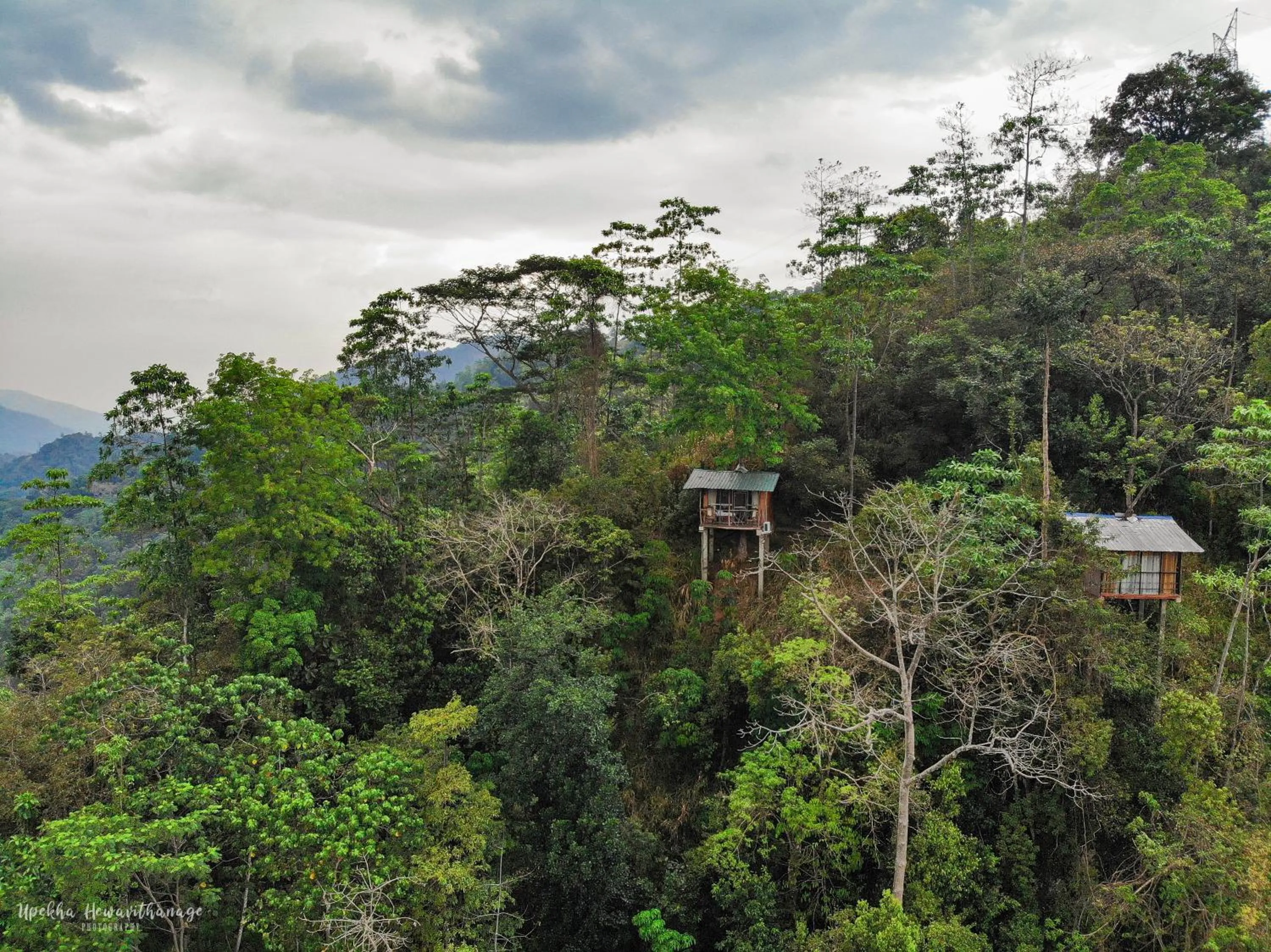 Natural landscape in Tree Houses by Jungle River