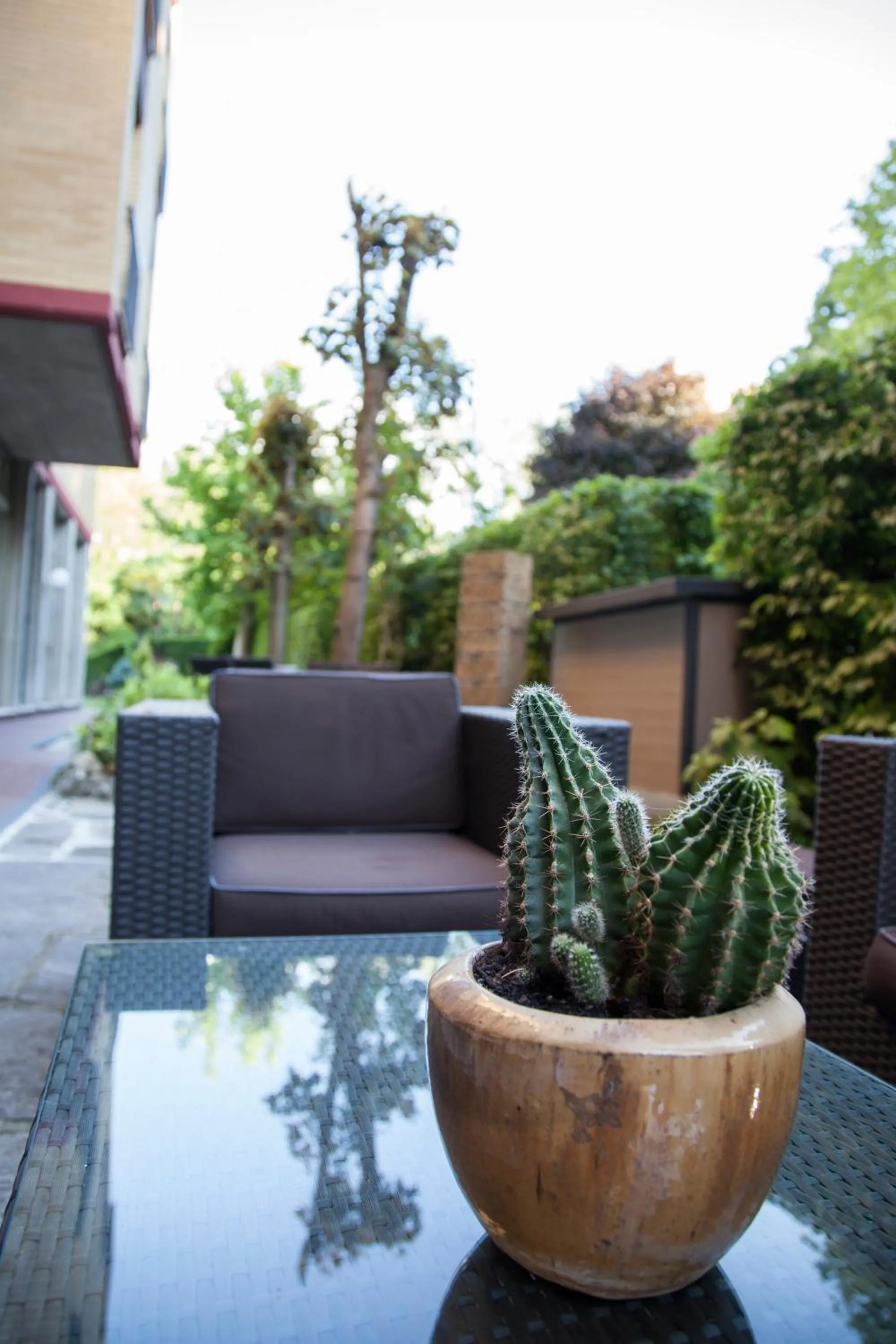 Patio in Art Hotel Pandos