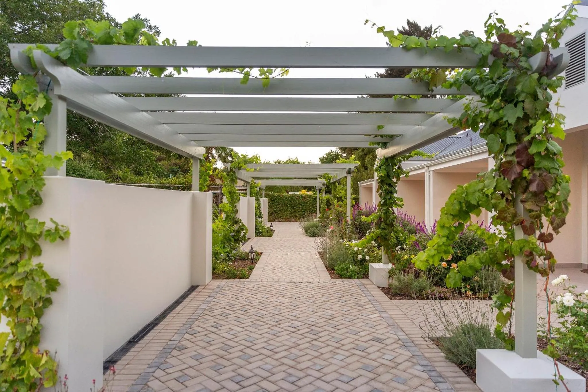 Patio in Monte Vista Boutique Hotel