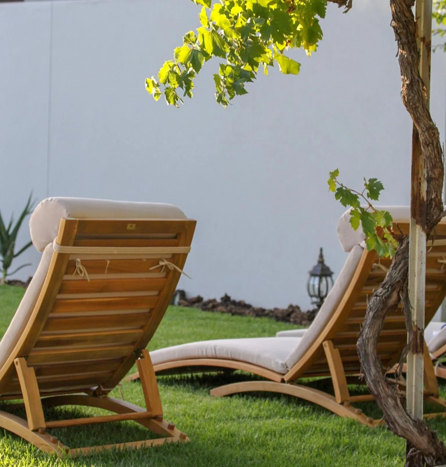 Garden in Monte Vista Boutique Hotel