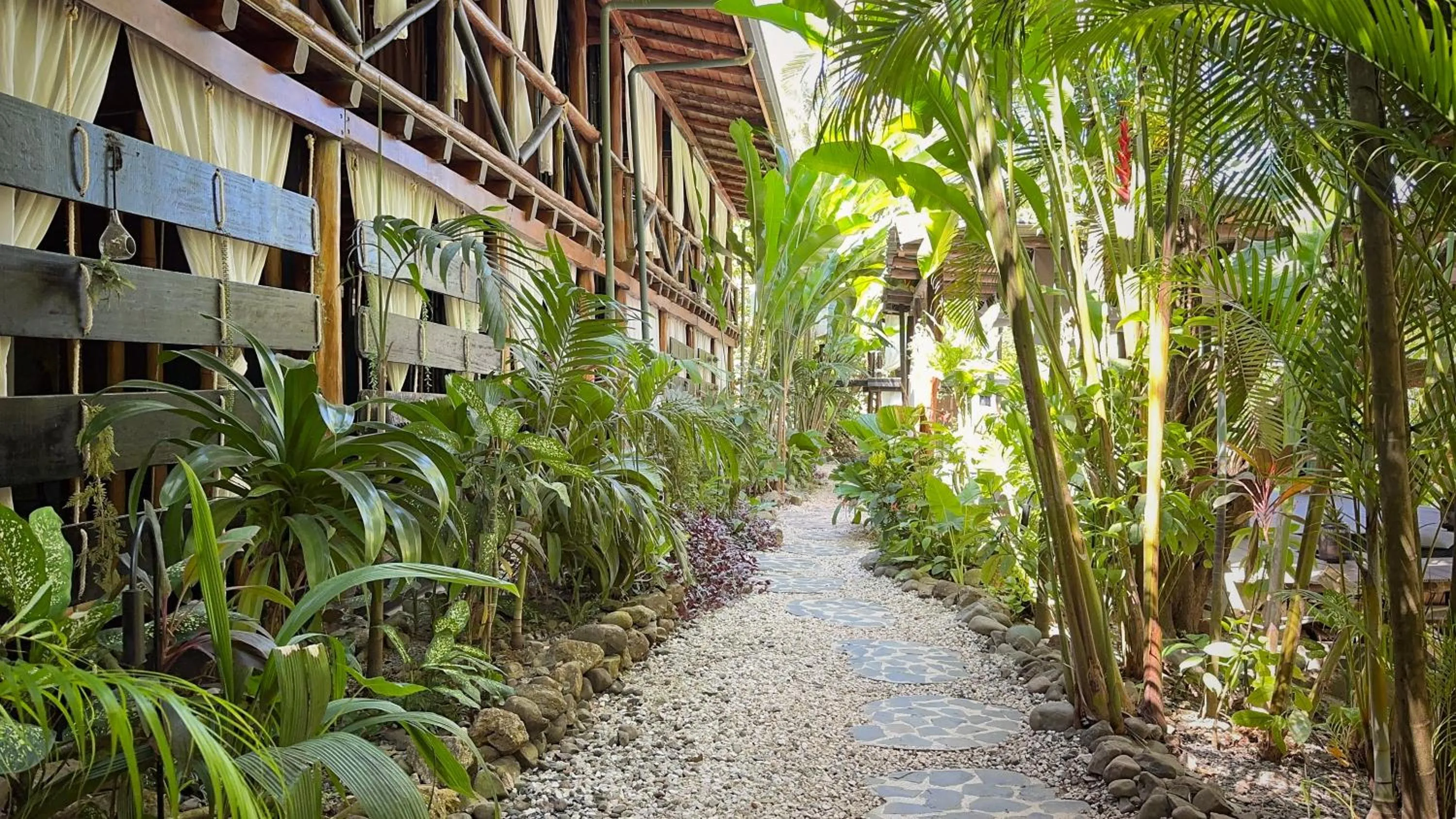 Garden in Canaima Chill House