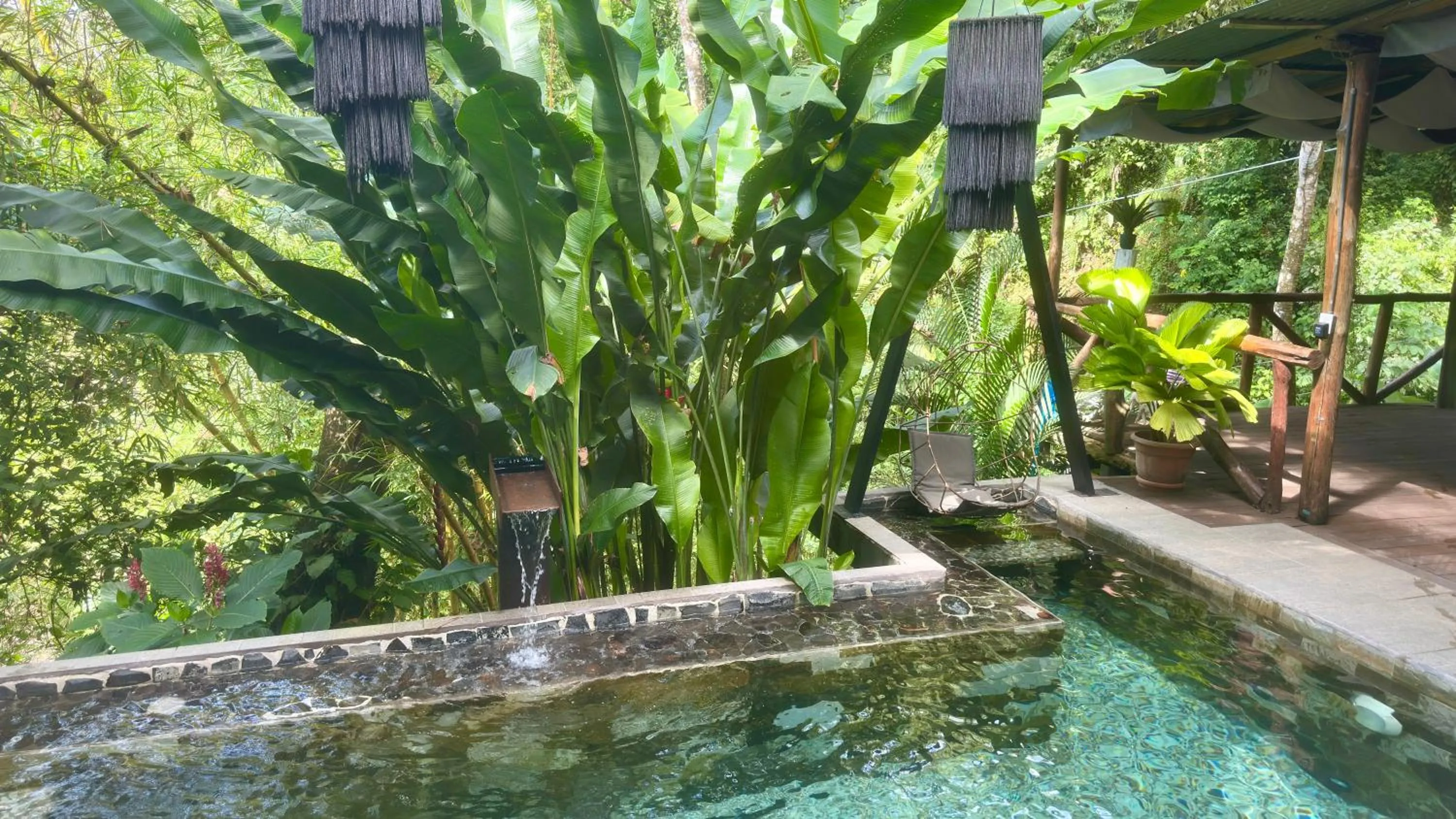 Pool view in Canaima Chill House