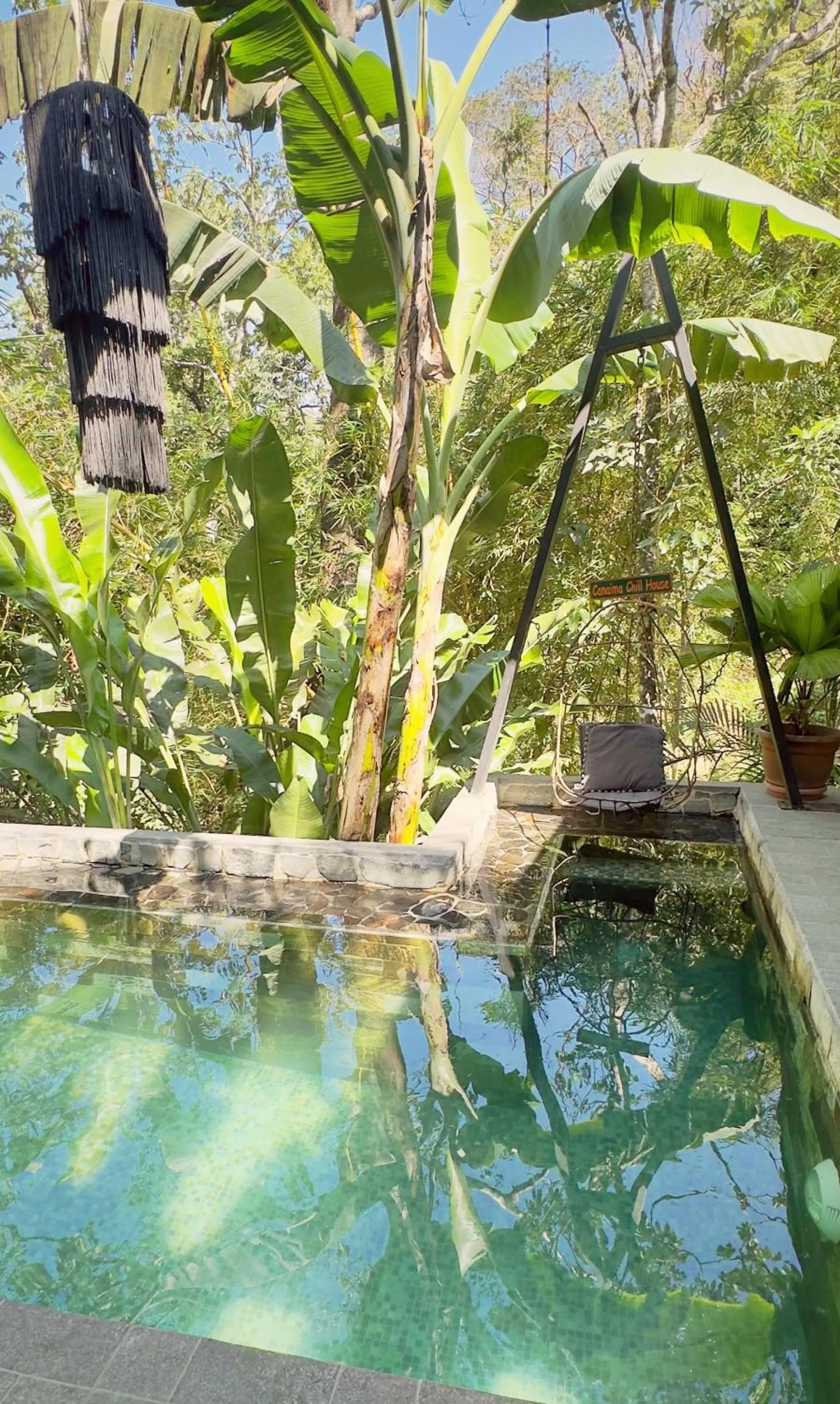 Pool view in Canaima Chill House