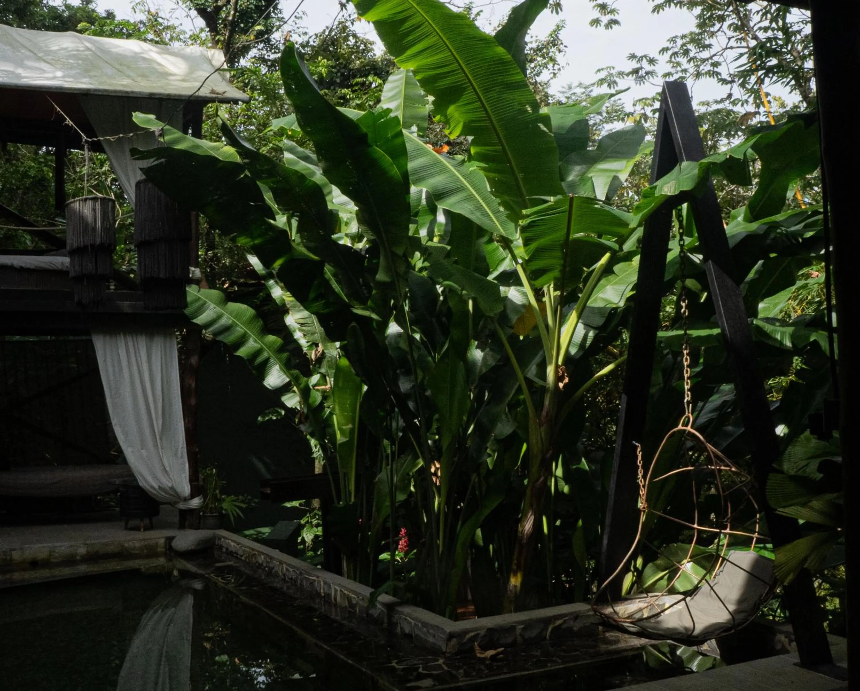 Swimming pool in Canaima Chill House