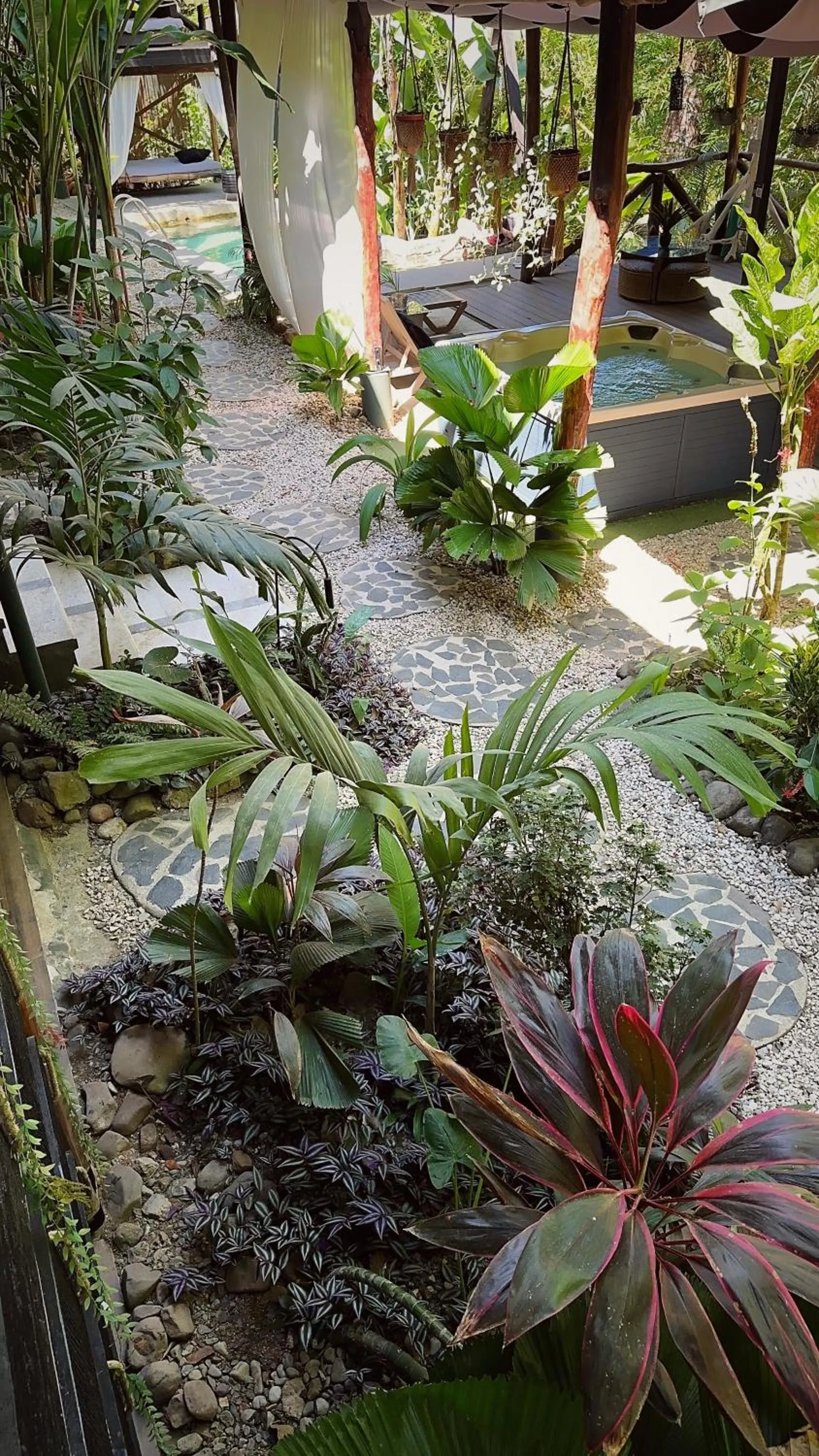 Garden in Canaima Chill House