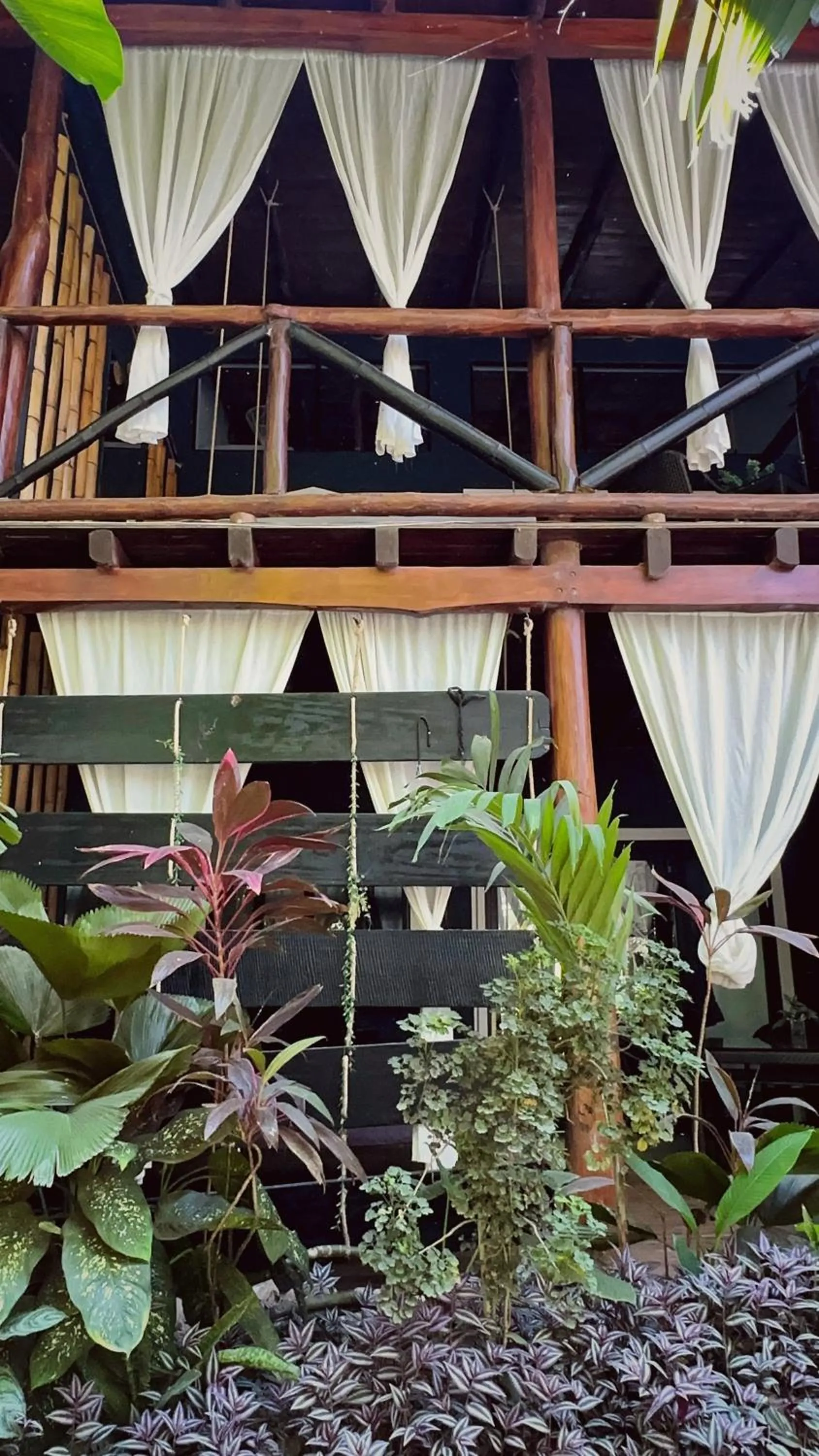 Garden in Canaima Chill House