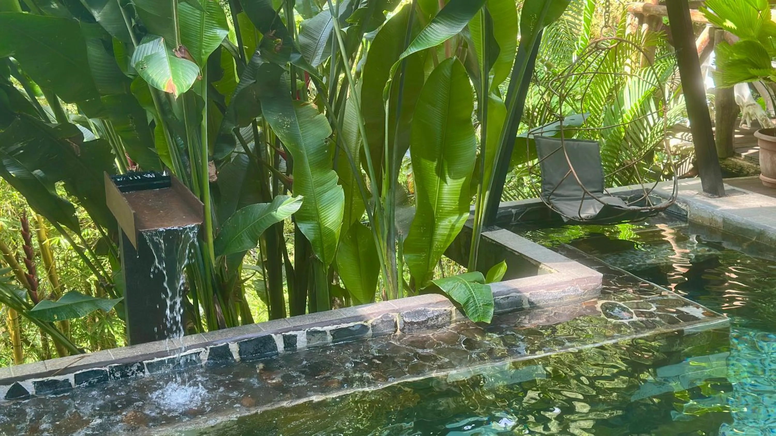 Pool view in Canaima Chill House