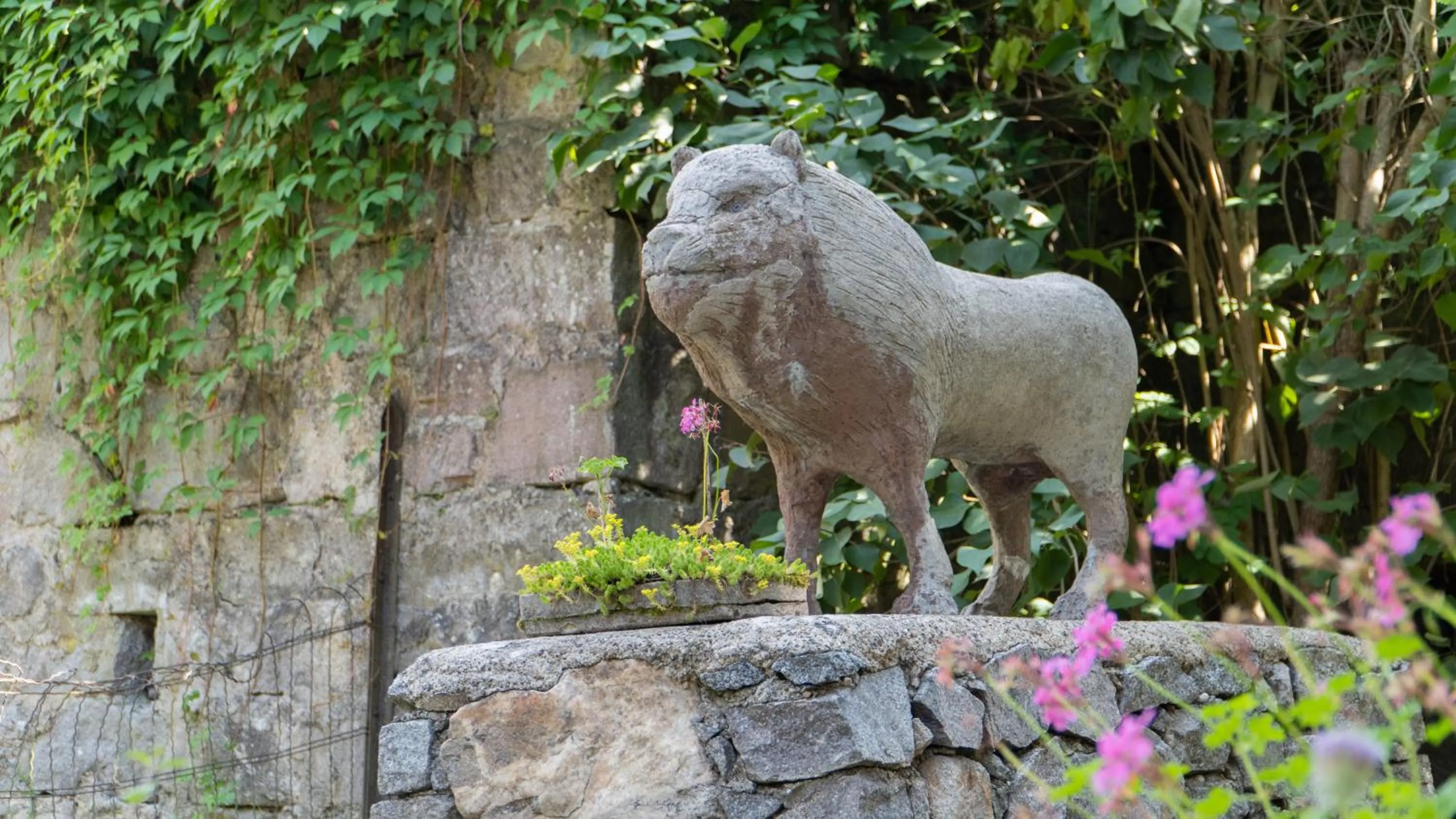 Pets in Résidence SoAnSa du Gérardmer de la Sci Rsast - Col de la Schlucht
