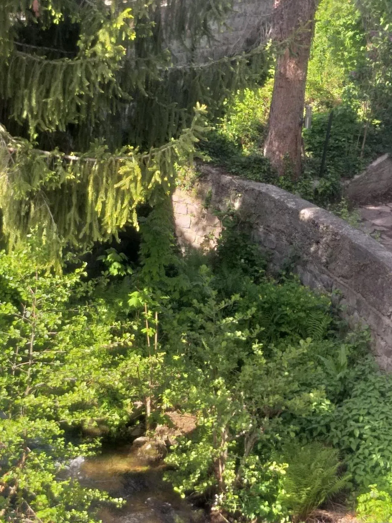 Garden view in Résidence SoAnSa du Gérardmer de la Sci Rsast - Col de la Schlucht