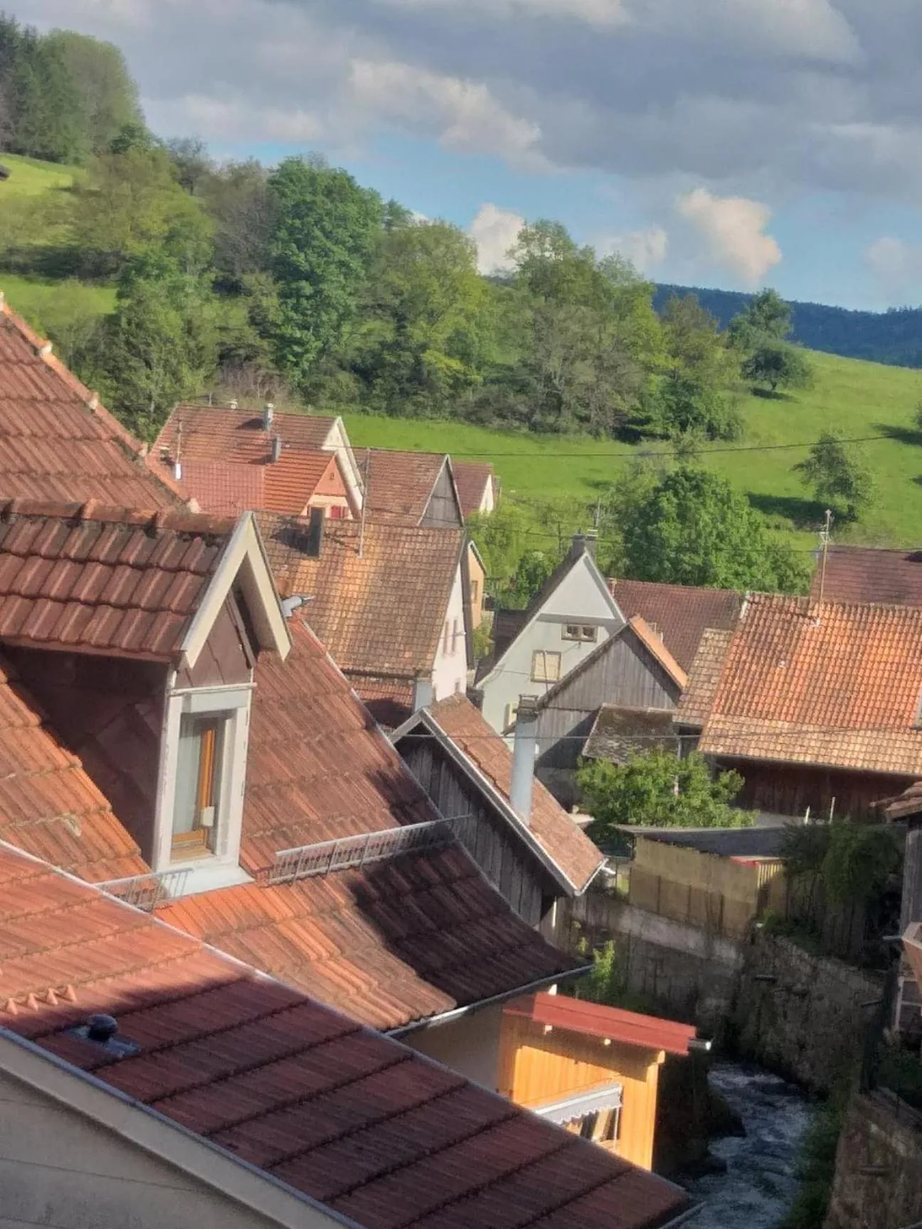 Mountain view in Résidence SoAnSa du Gérardmer de la Sci Rsast - Col de la Schlucht