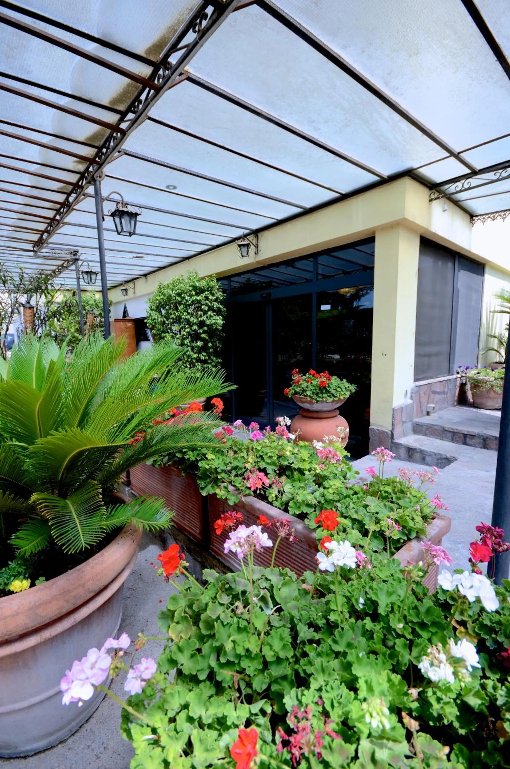 Garden in Hotel Clinton