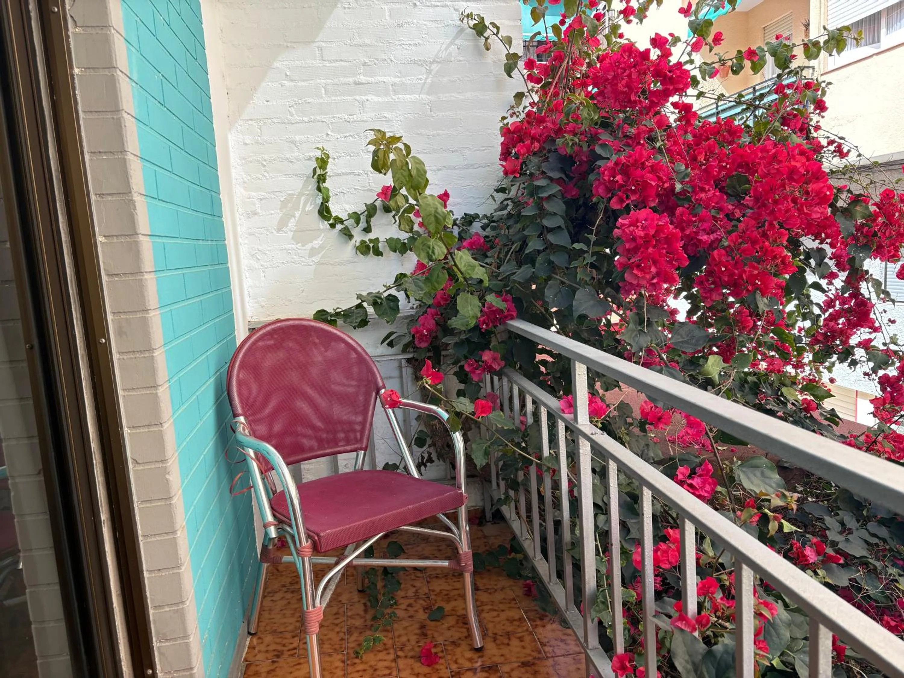 Property building in Pensión Rocamar