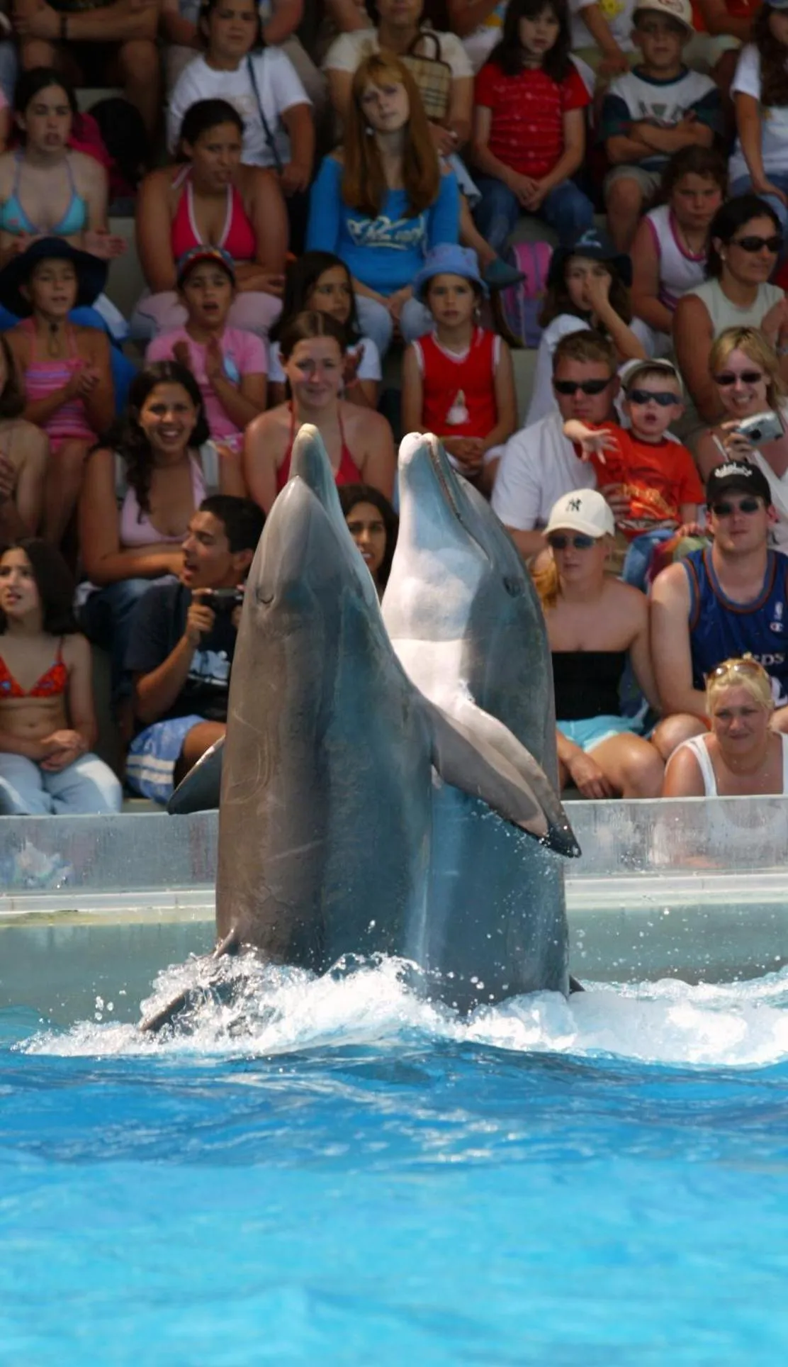 Nearby landmark in Oceanus Aparthotel