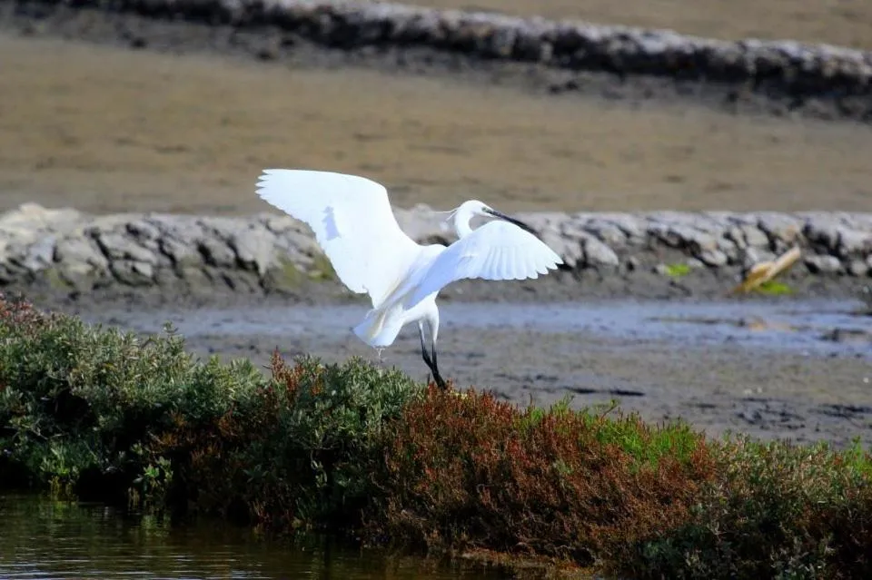 Natural landscape in Hotel Paraiso