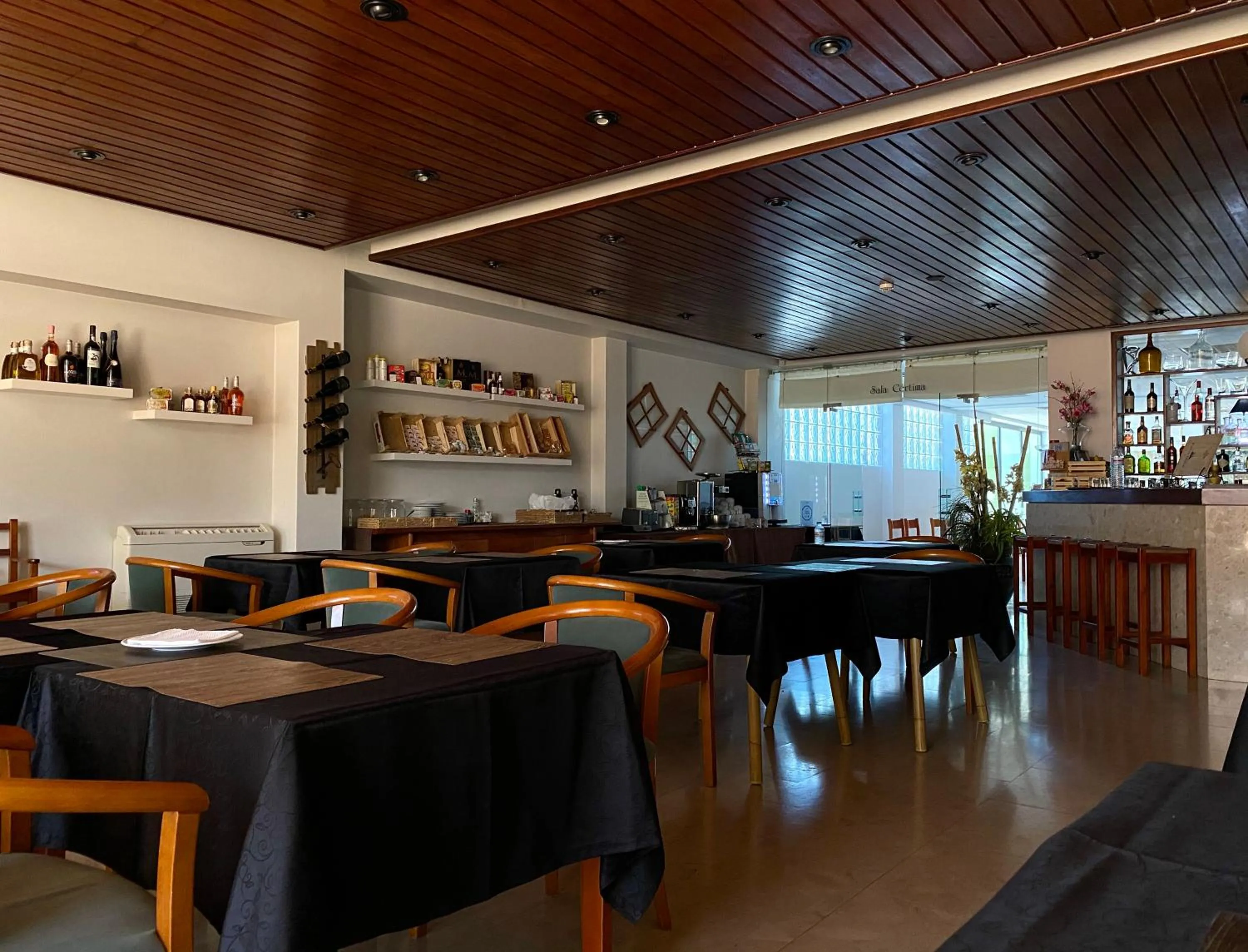 Lounge or bar in Hotel Paraiso