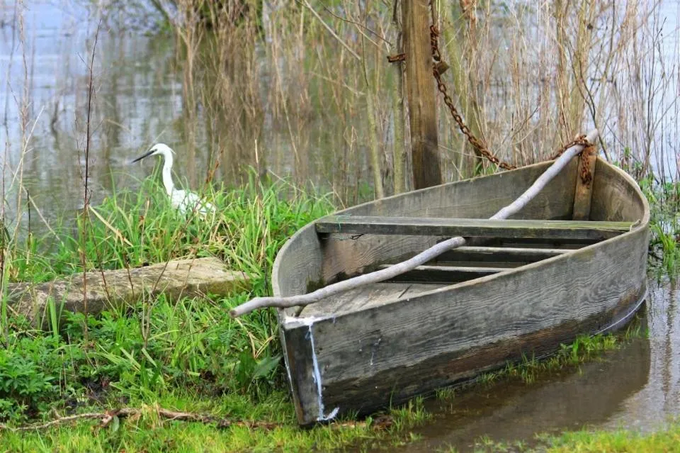 Area and facilities in Hotel Paraiso