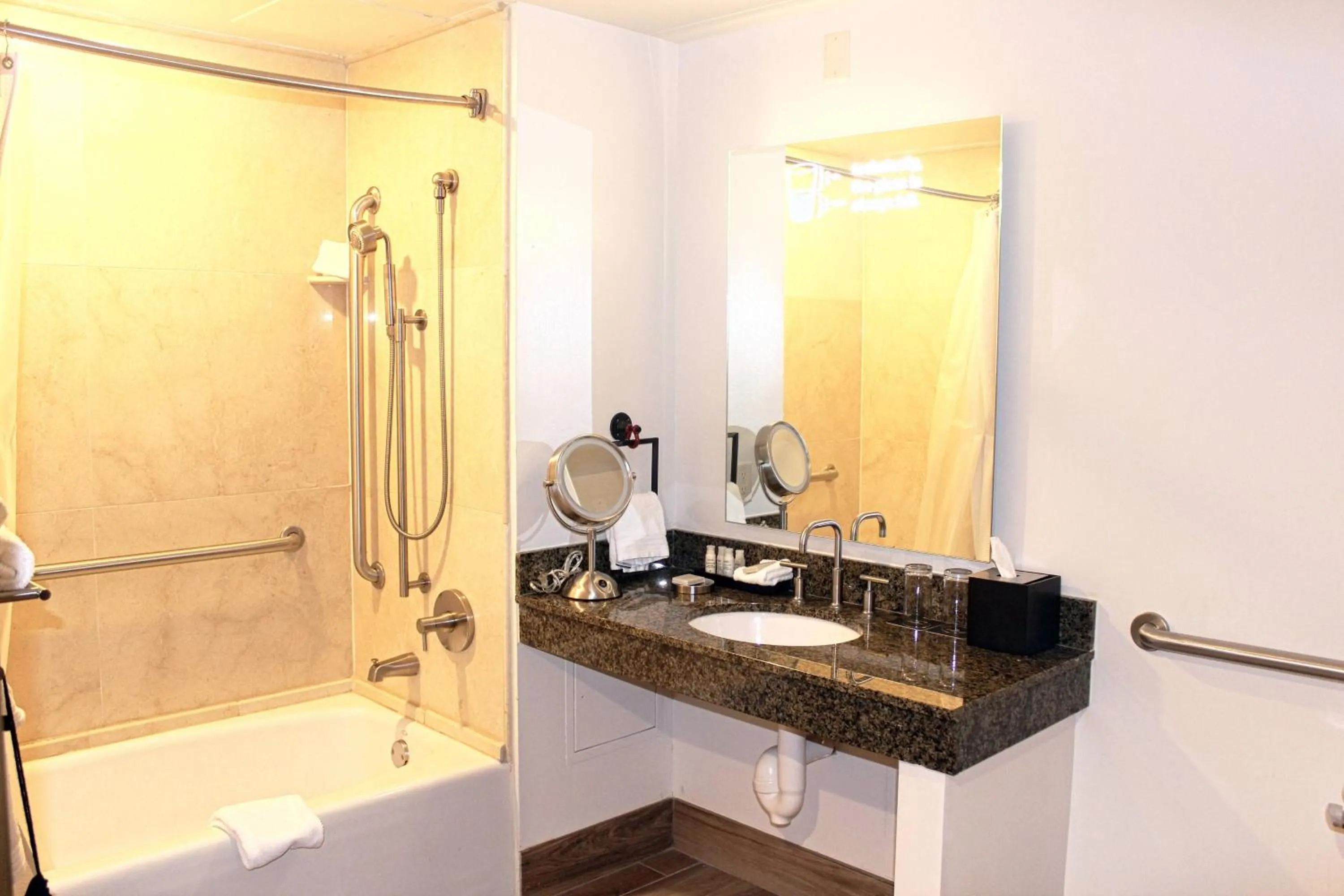 Bathroom in Renaissance Toledo Downtown Hotel