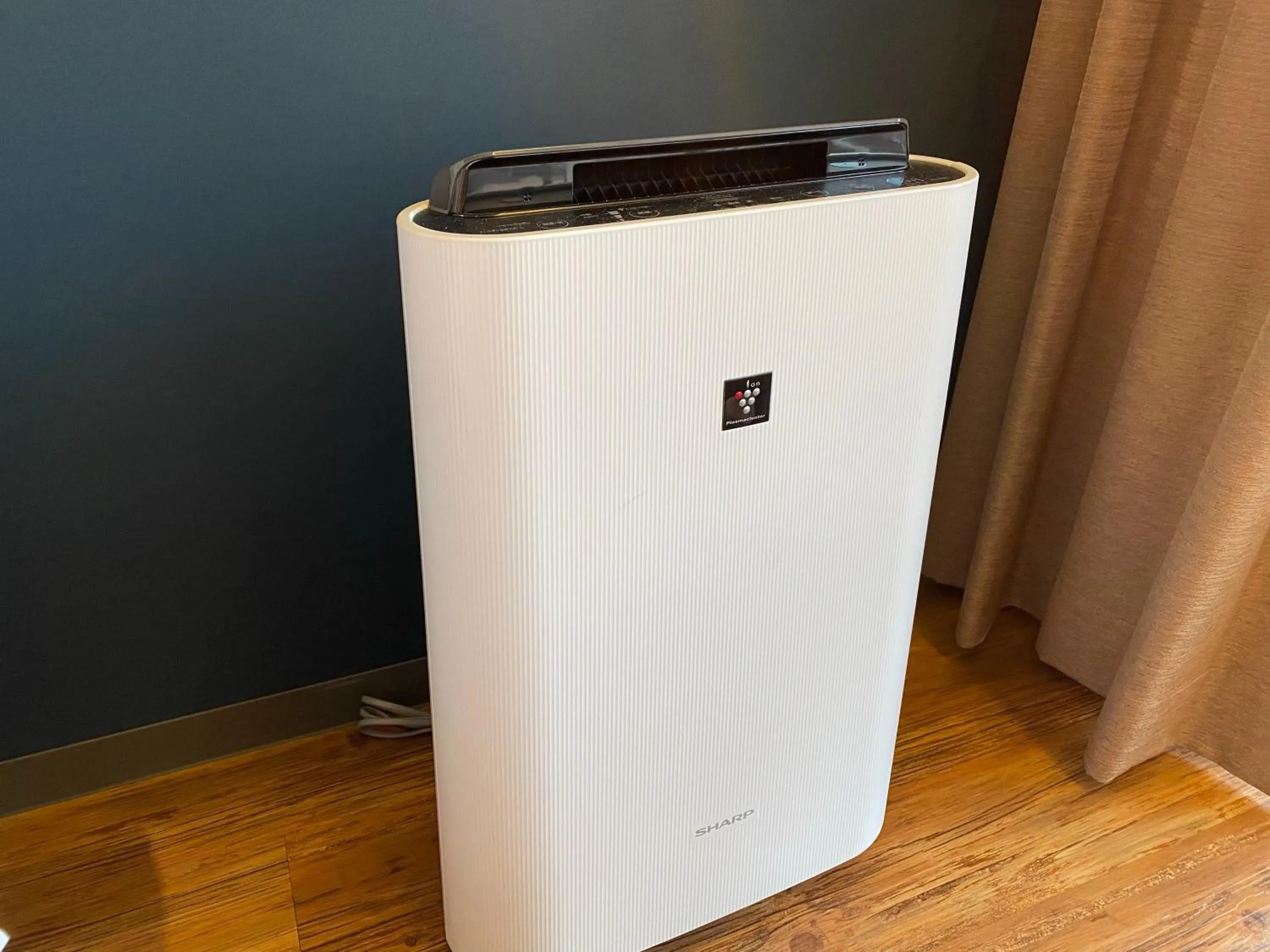 Other in Rinken's Hotel