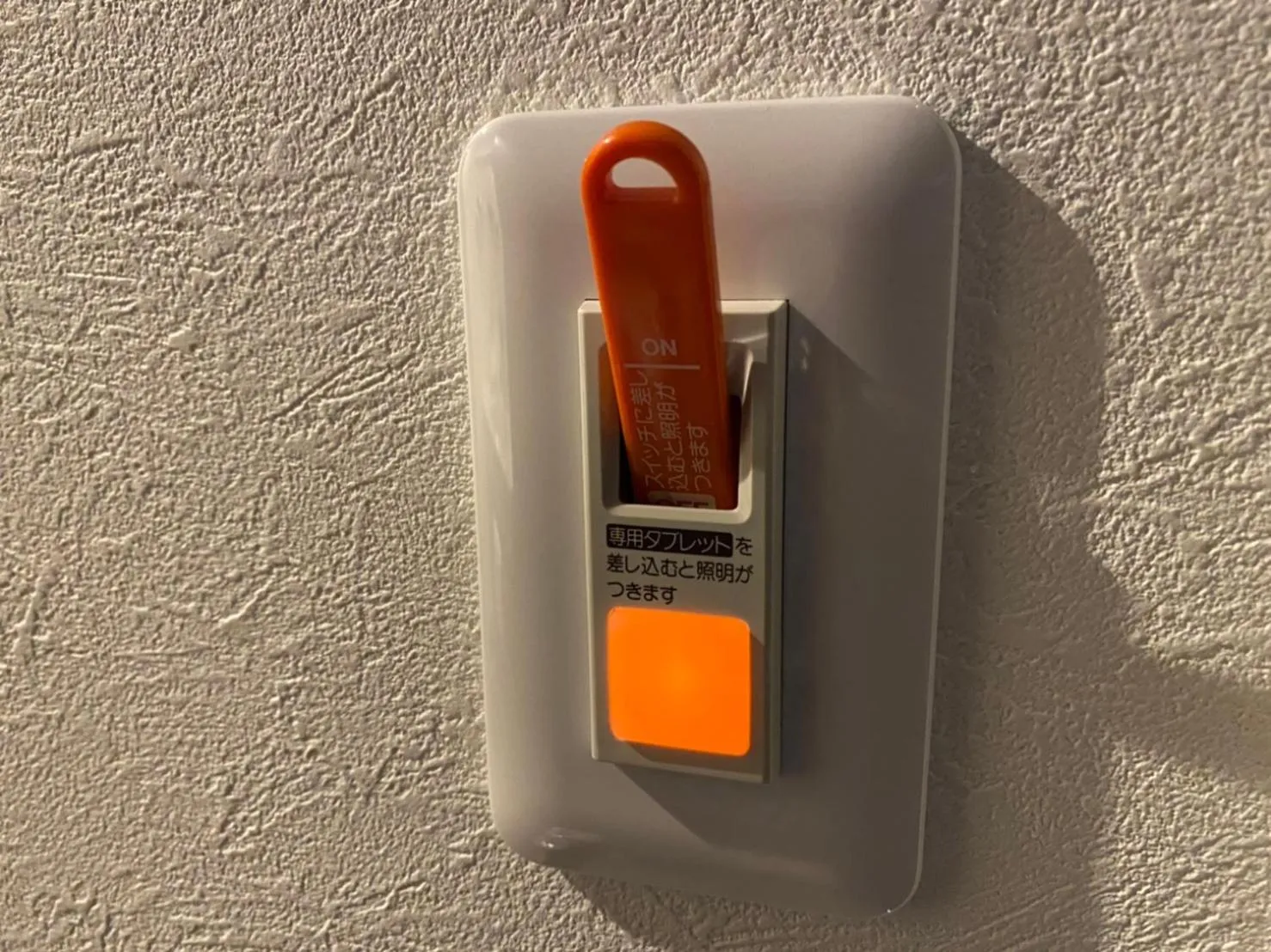 Area and facilities in Rinken's Hotel