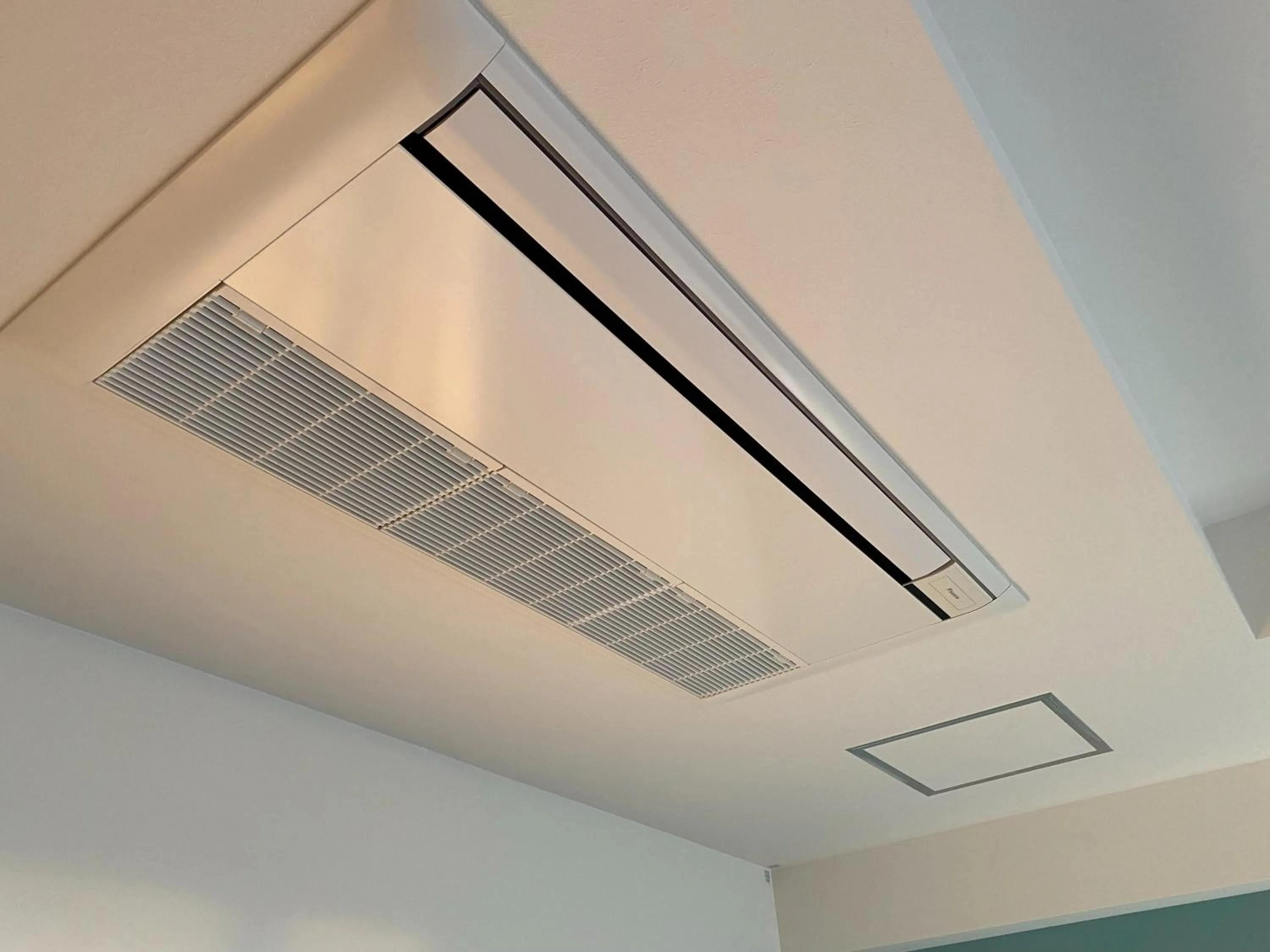 Area and facilities in Rinken's Hotel