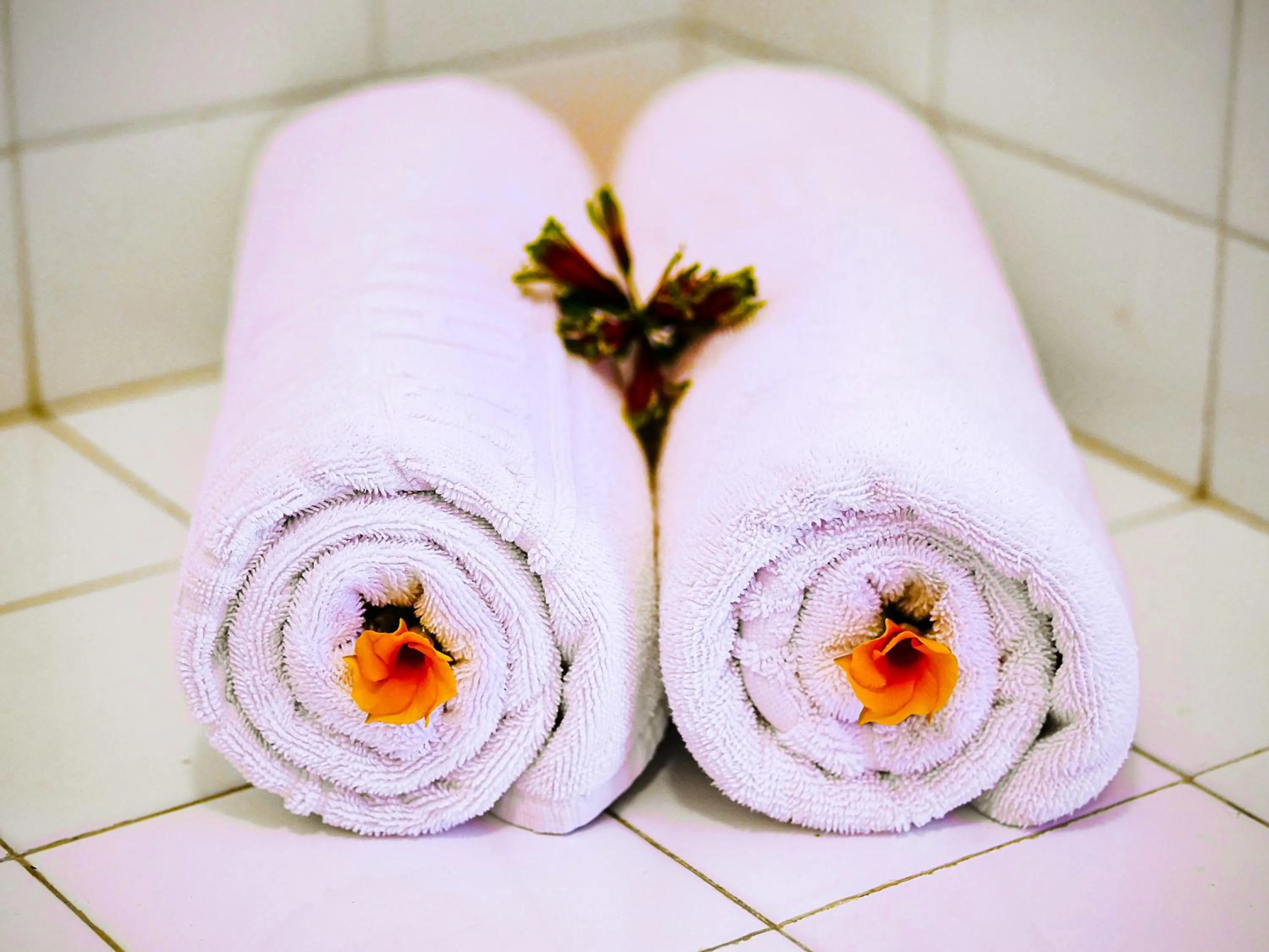 towels in Rift Valley Hills Resort