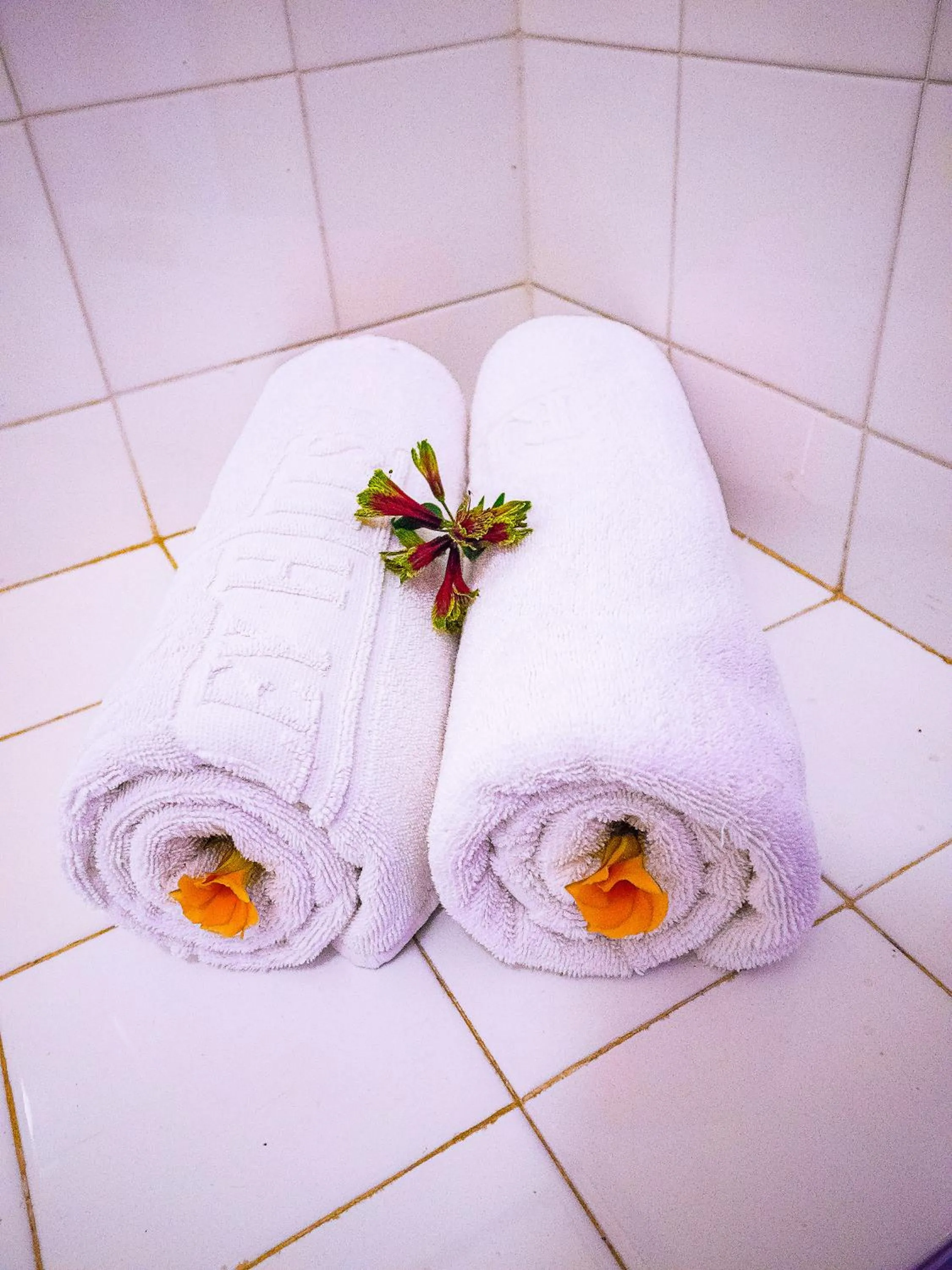 Property building in Rift Valley Hills Resort