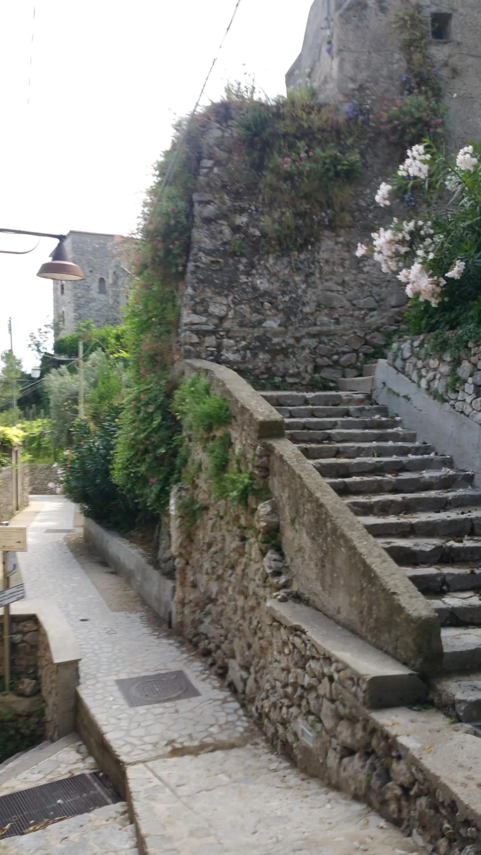 Property building in Villa Amì