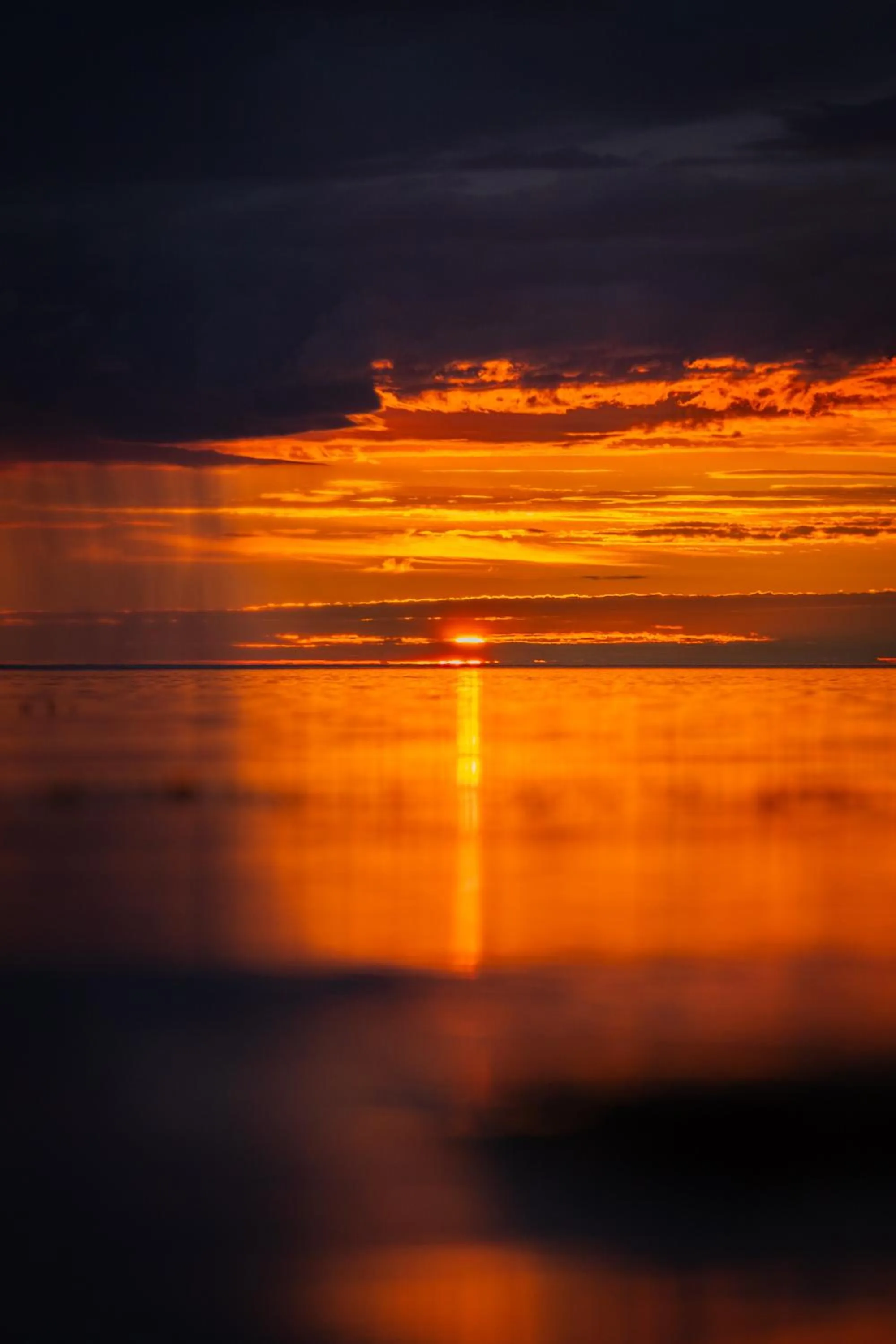 Northern Light Hotell/Camp Steinfjord