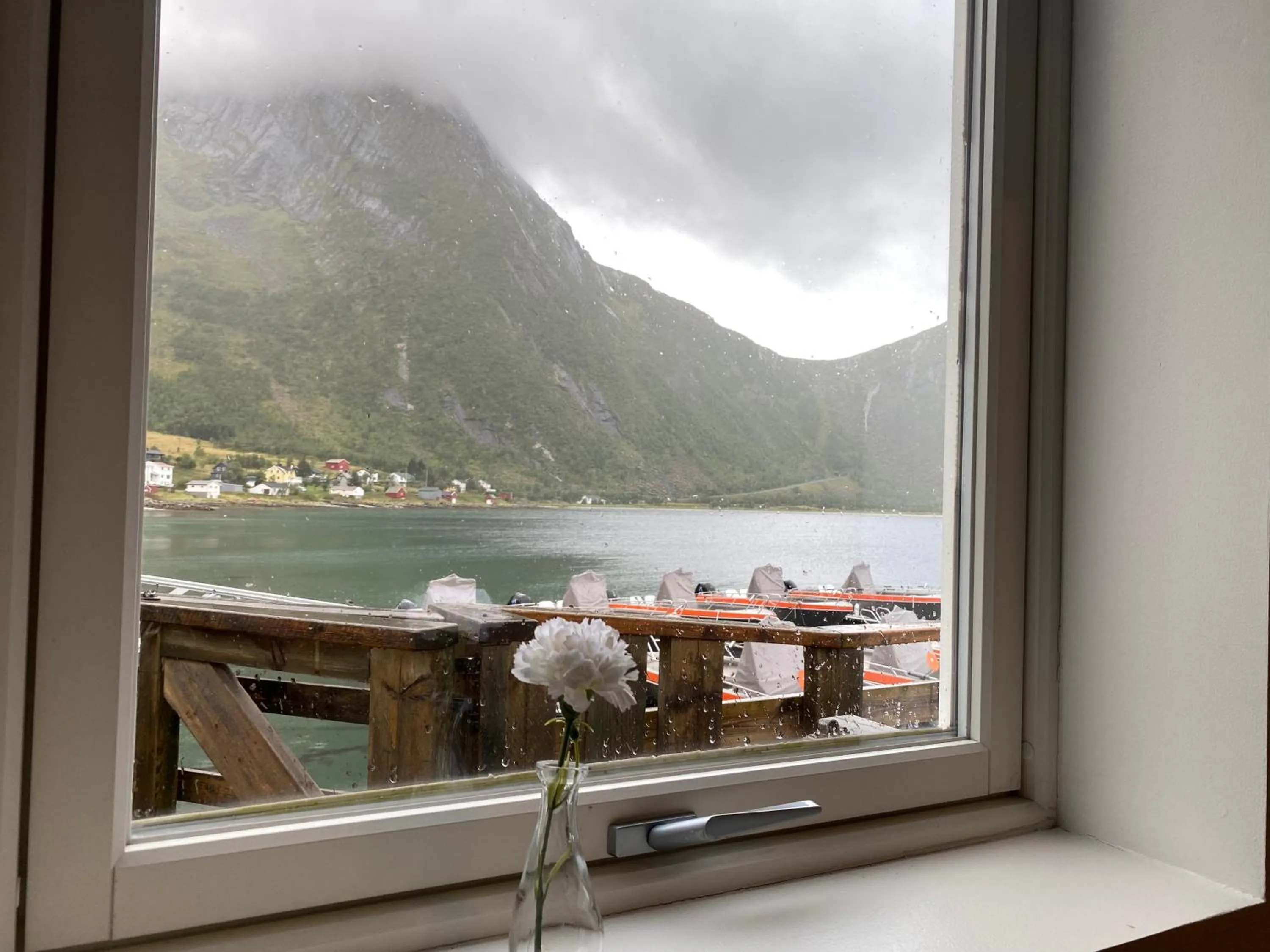 Northern Light Hotell/Camp Steinfjord