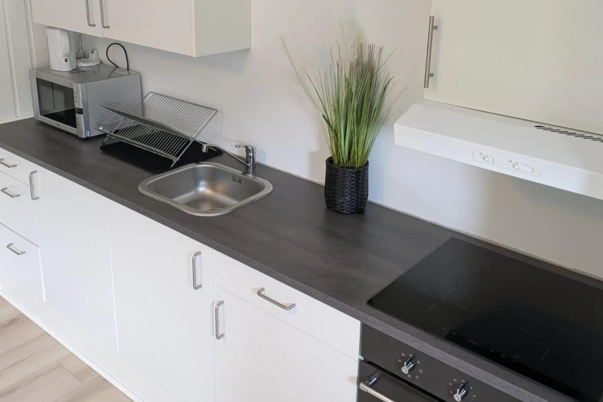 Northern Light Hotell/Camp Steinfjord