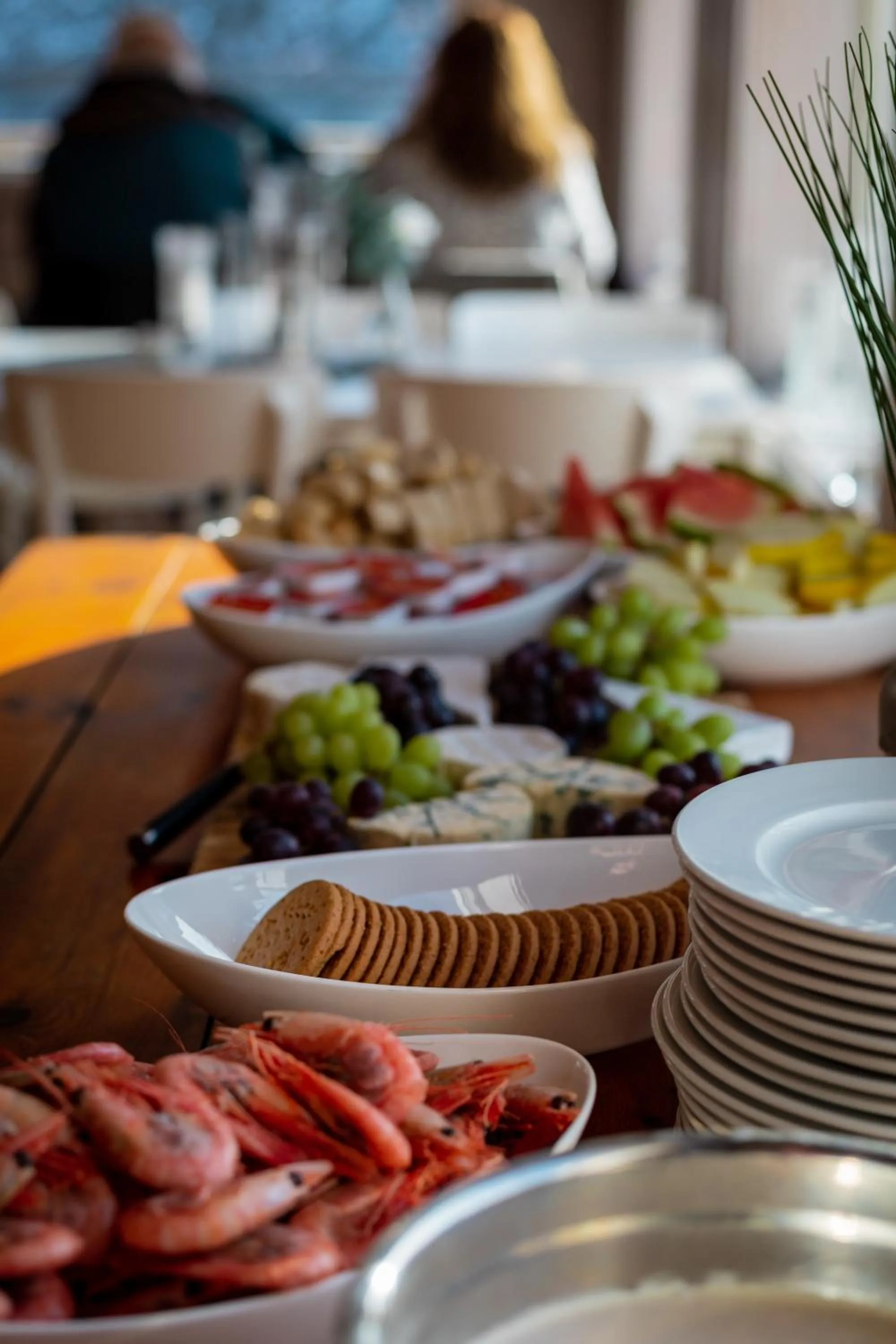 Northern Light Hotell/Camp Steinfjord