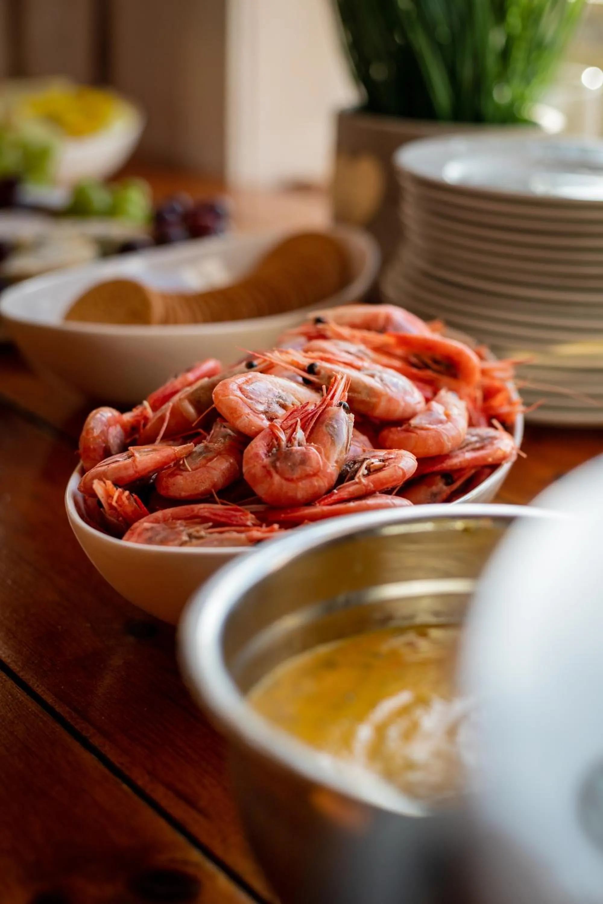 Northern Light Hotell/Camp Steinfjord