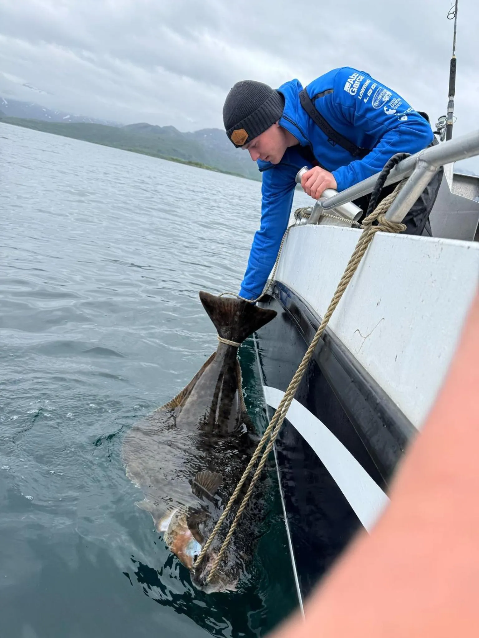 Northern Light Hotell/Camp Steinfjord