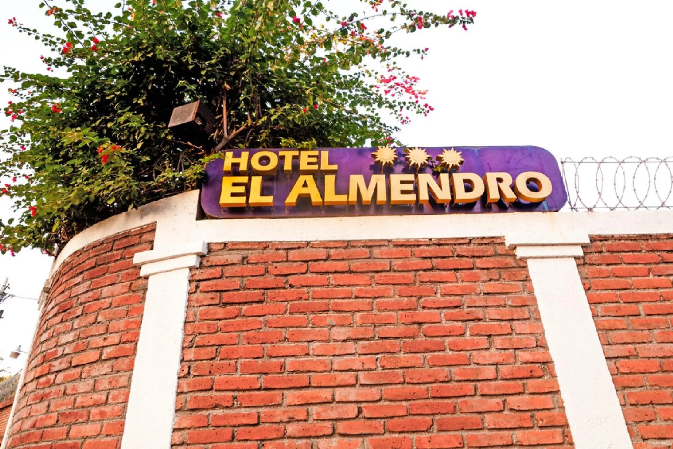 Facade/entrance in Hotel El Almendro