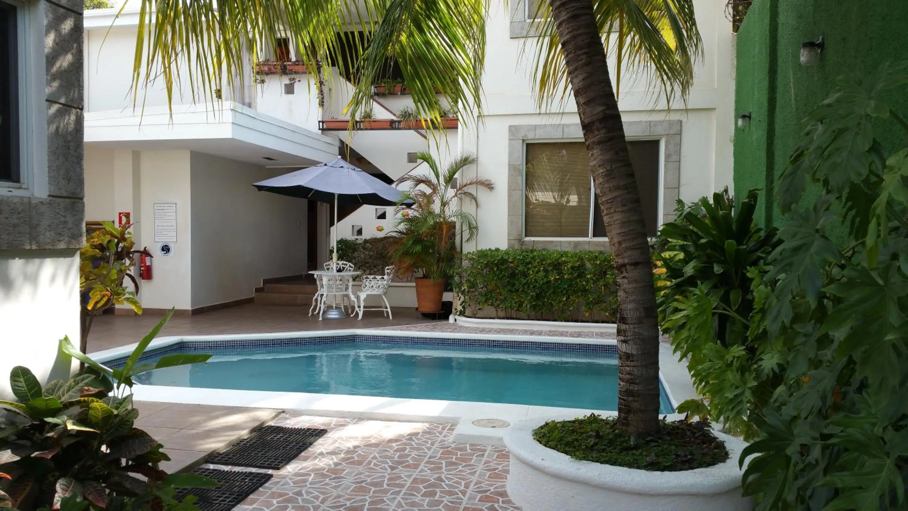 Swimming pool in Hotel El Almendro