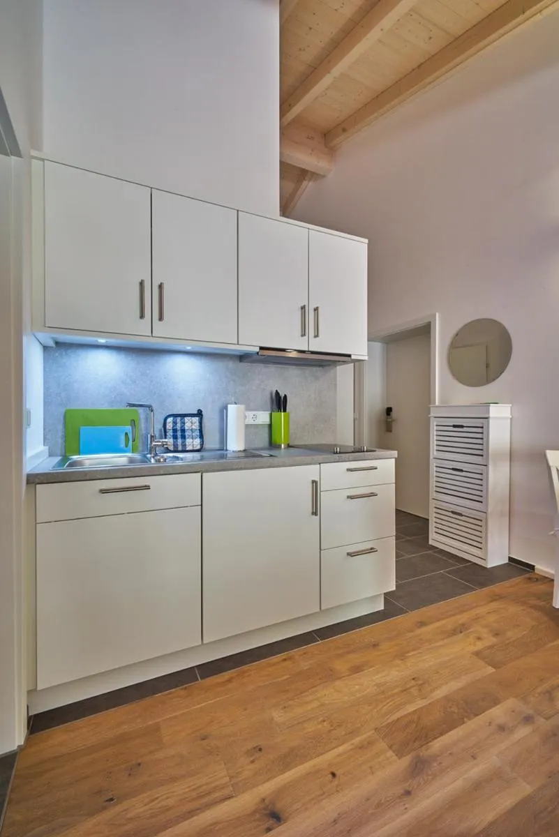Kitchen or kitchenette in Alb Appartements