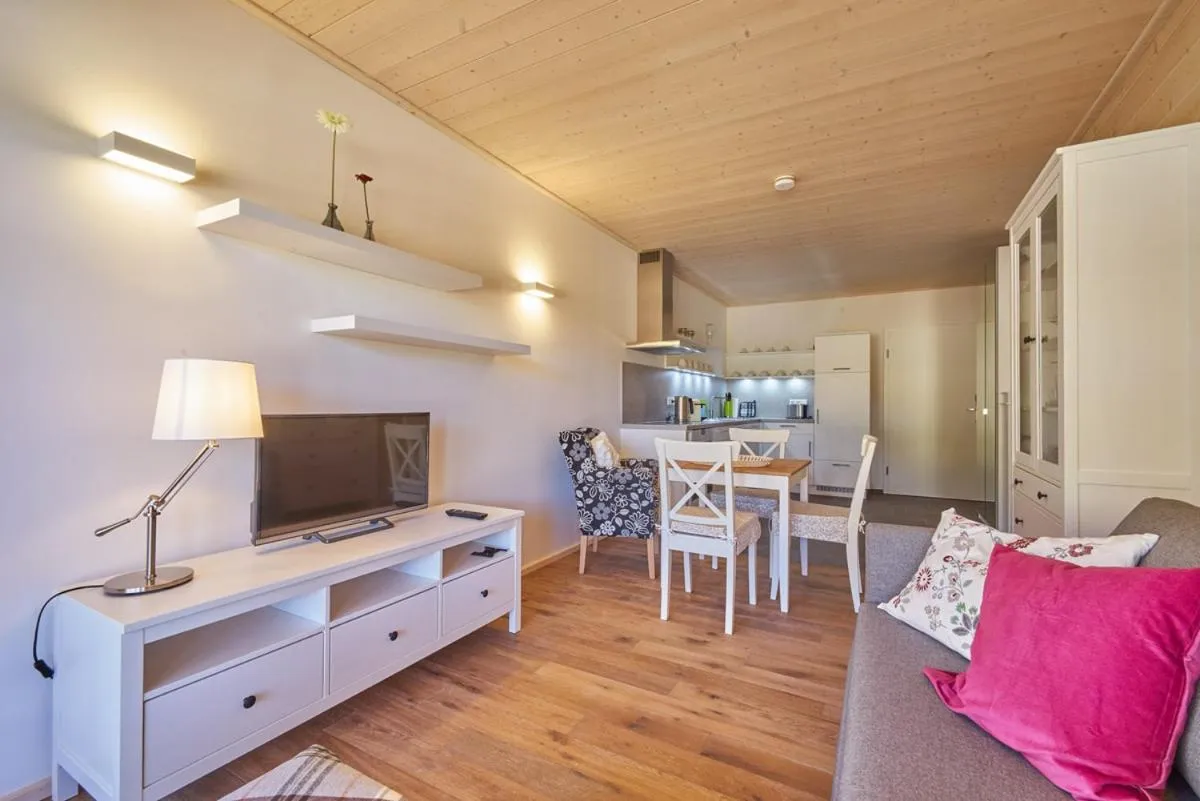 TV and multimedia in Alb Appartements