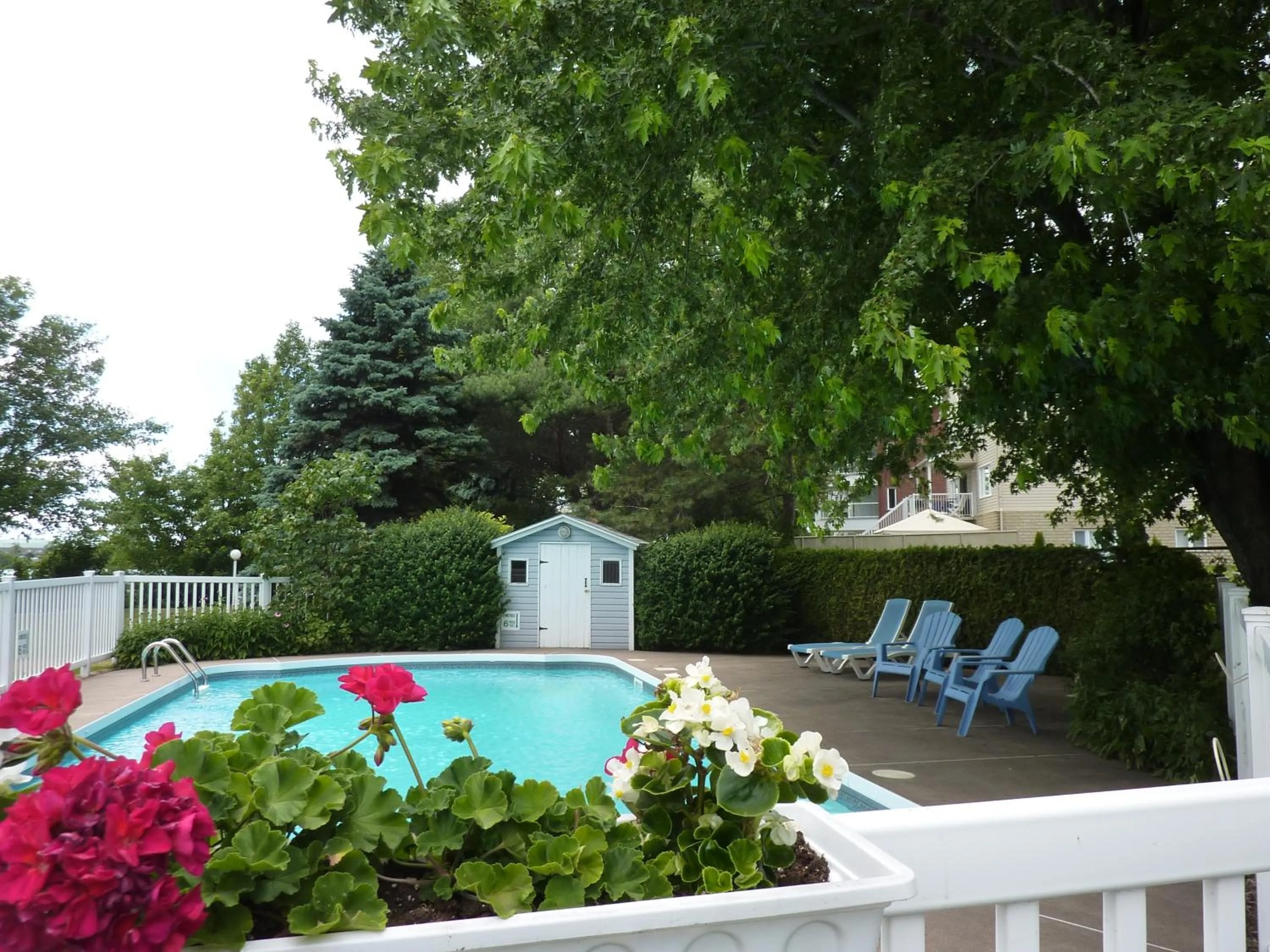 Garden in Motel Belle Riviere